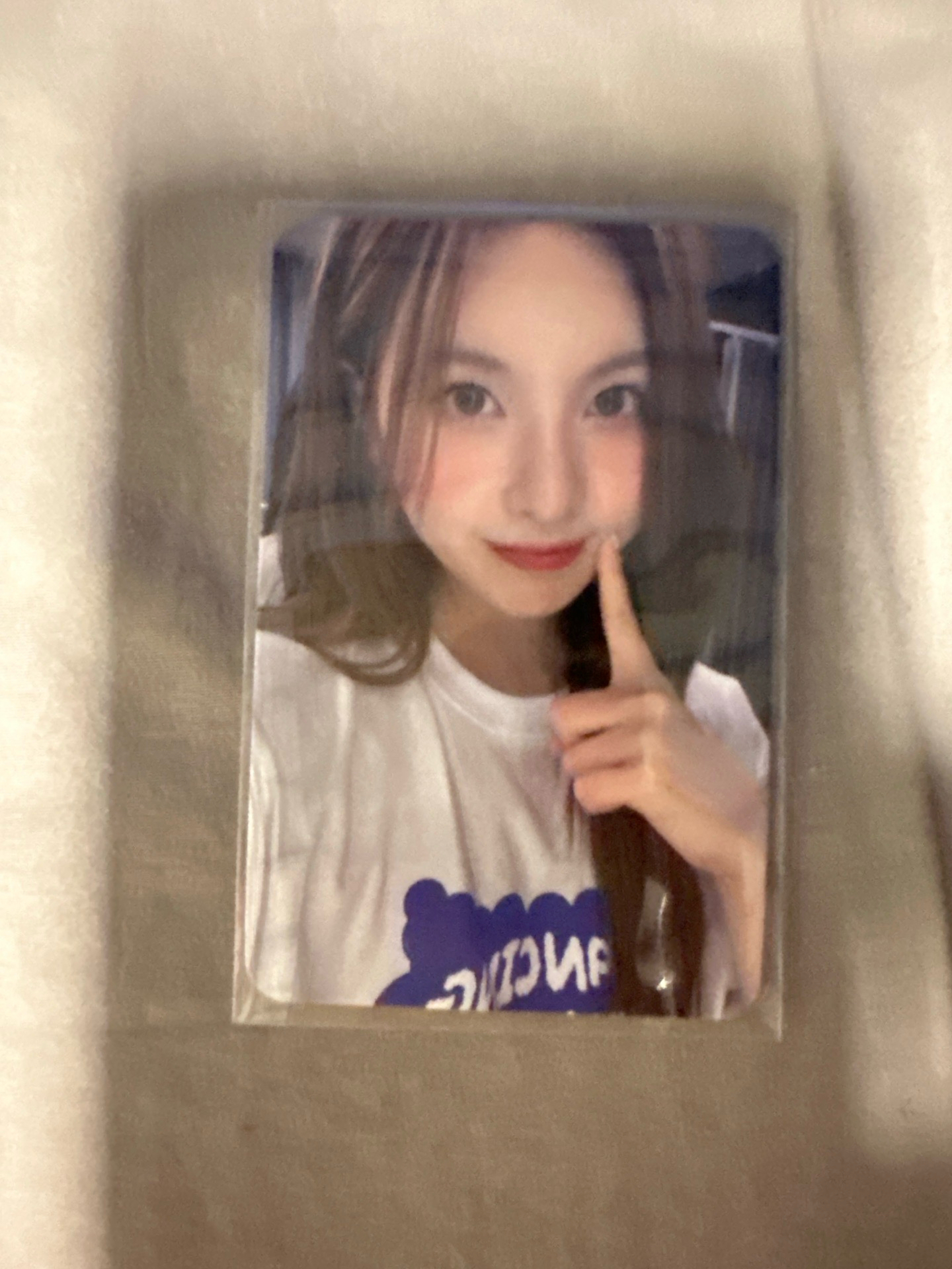 仲夏夜 sr 預售 2.0 特典卡 