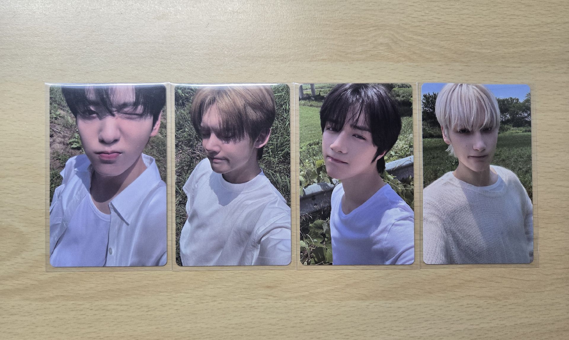 正四 wvs SC PB 特典卡 竣彬圭寧