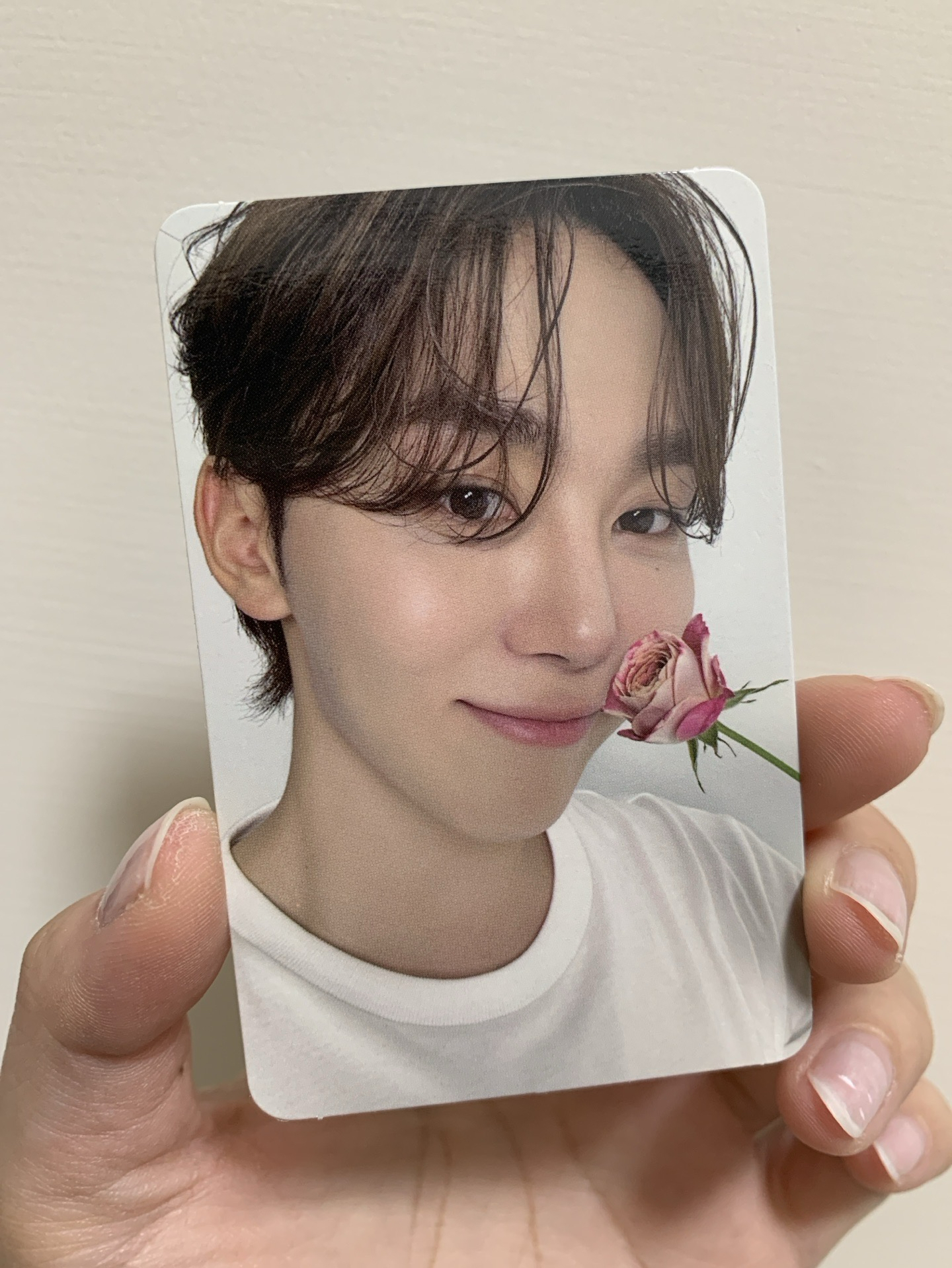 精選輯 克拉盤專卡 寛