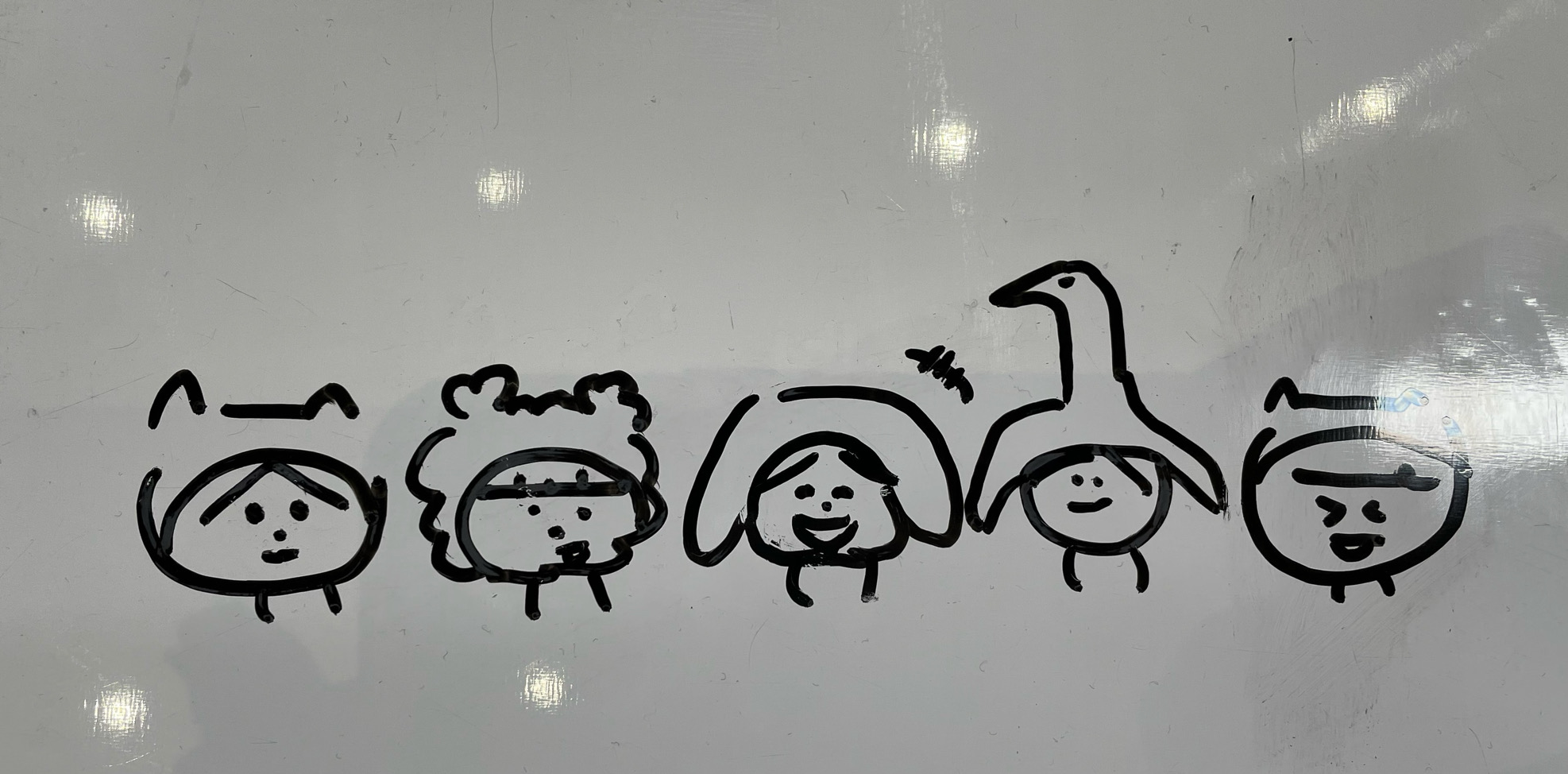 金采源的小狗狗