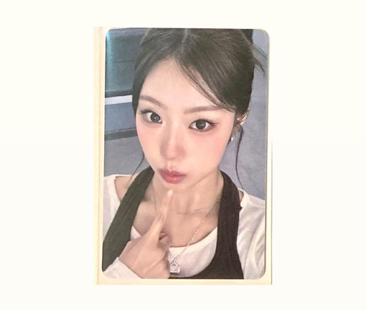 迷二 am簽售4.0 庭銀