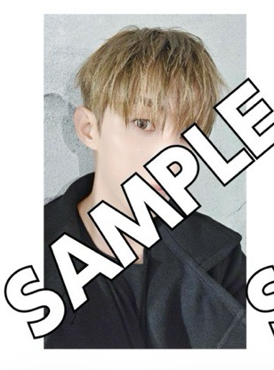 DxS 小分隊 日通環球特典 碩