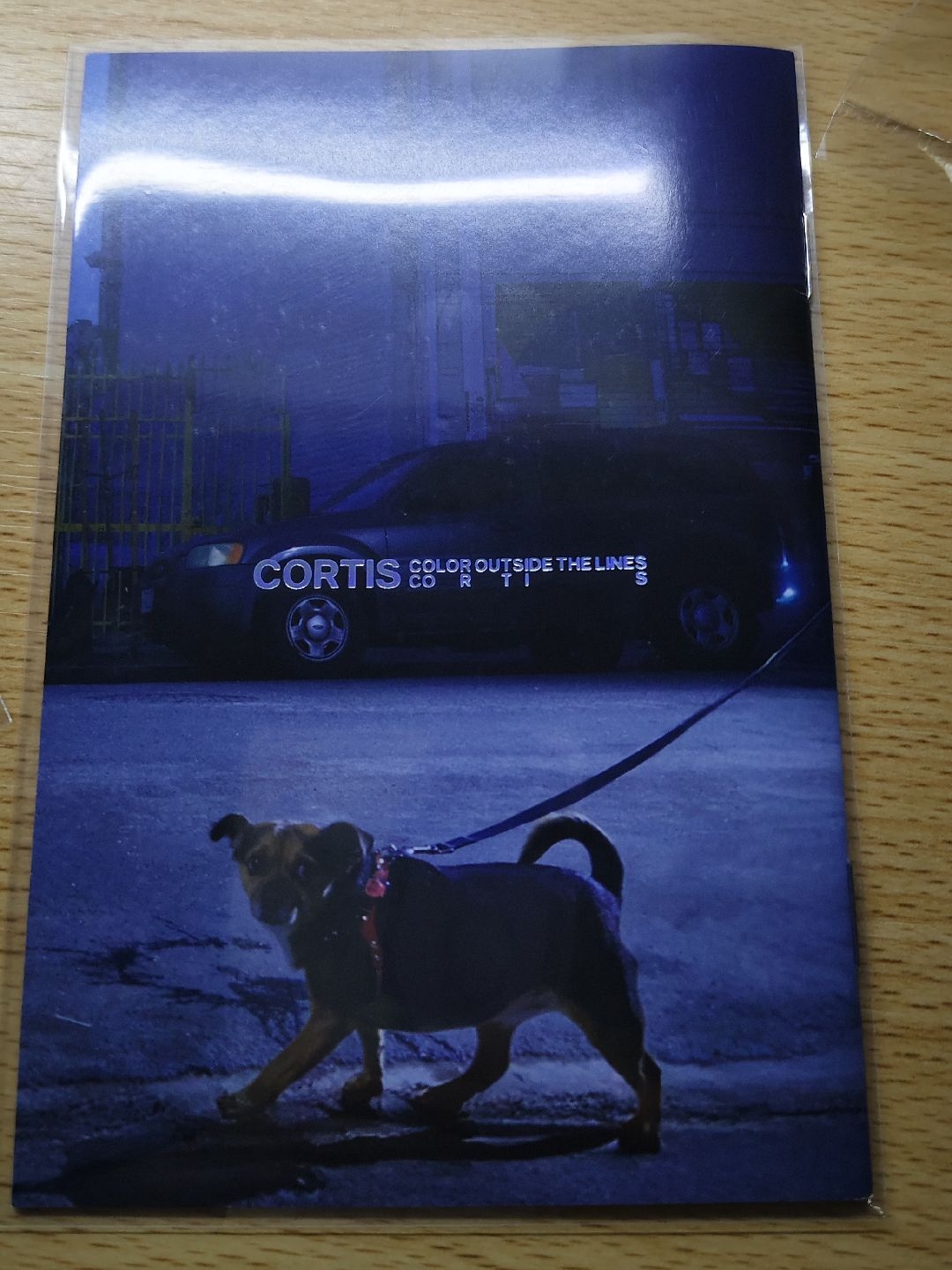 Cortis電子專A版鎬