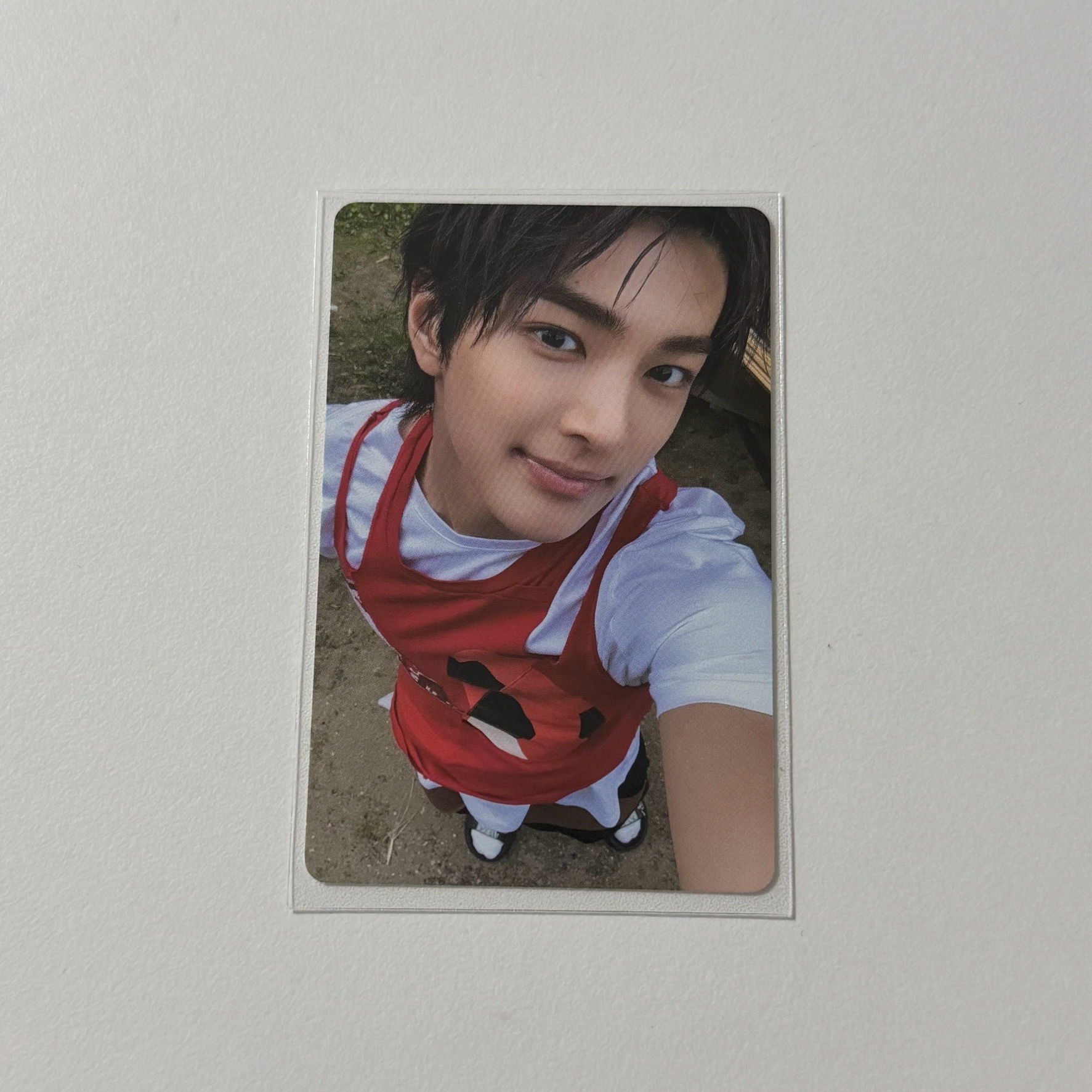 cortis 電子A專鎬