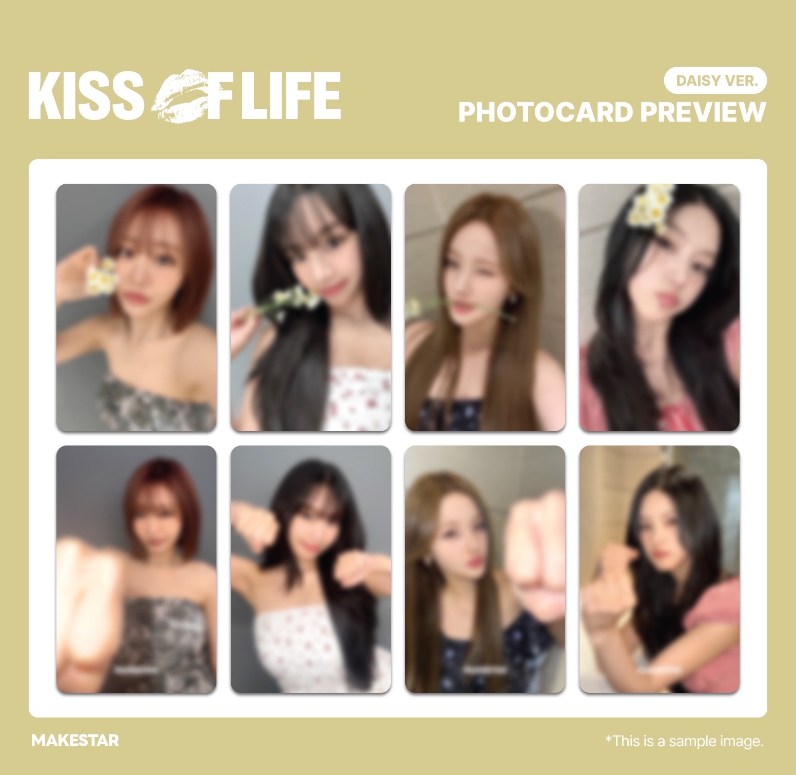 KIOF 224 MS台北線下合照會 雛菊特典