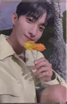 正四後續黃碩（需多帶）