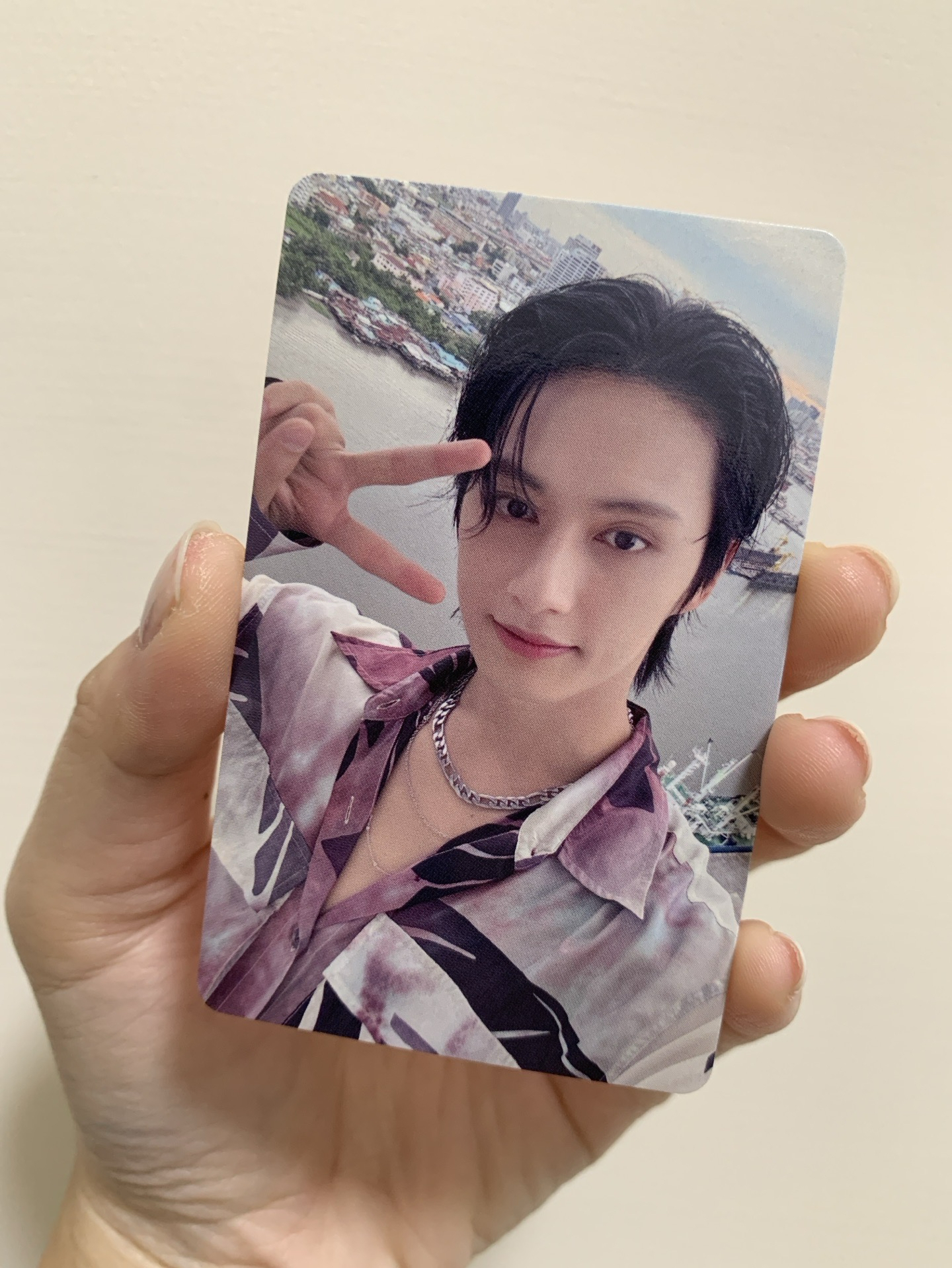 MINI12 wvs 愛知 場限卡 俊