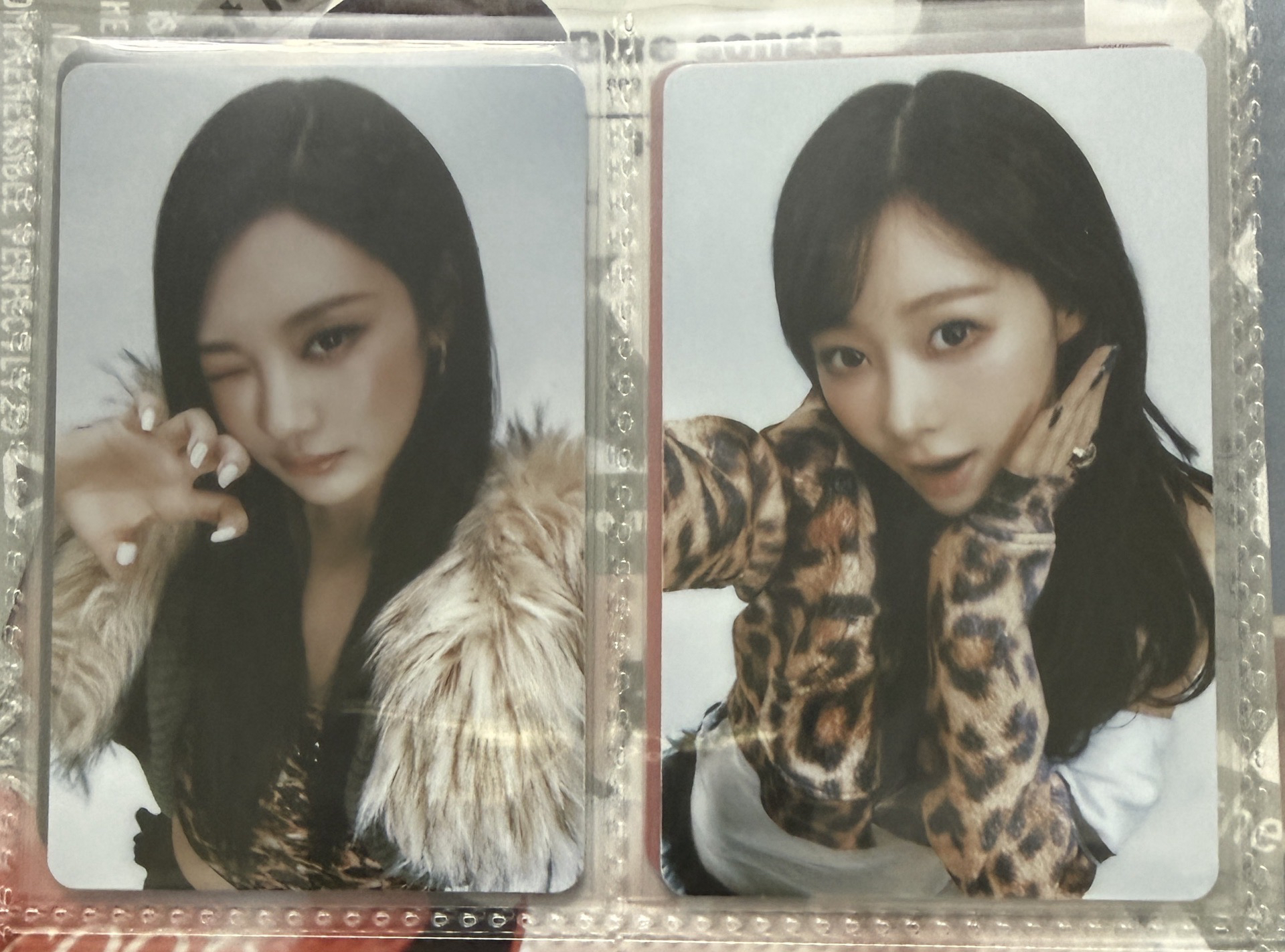 日巡隨機卡吉寧