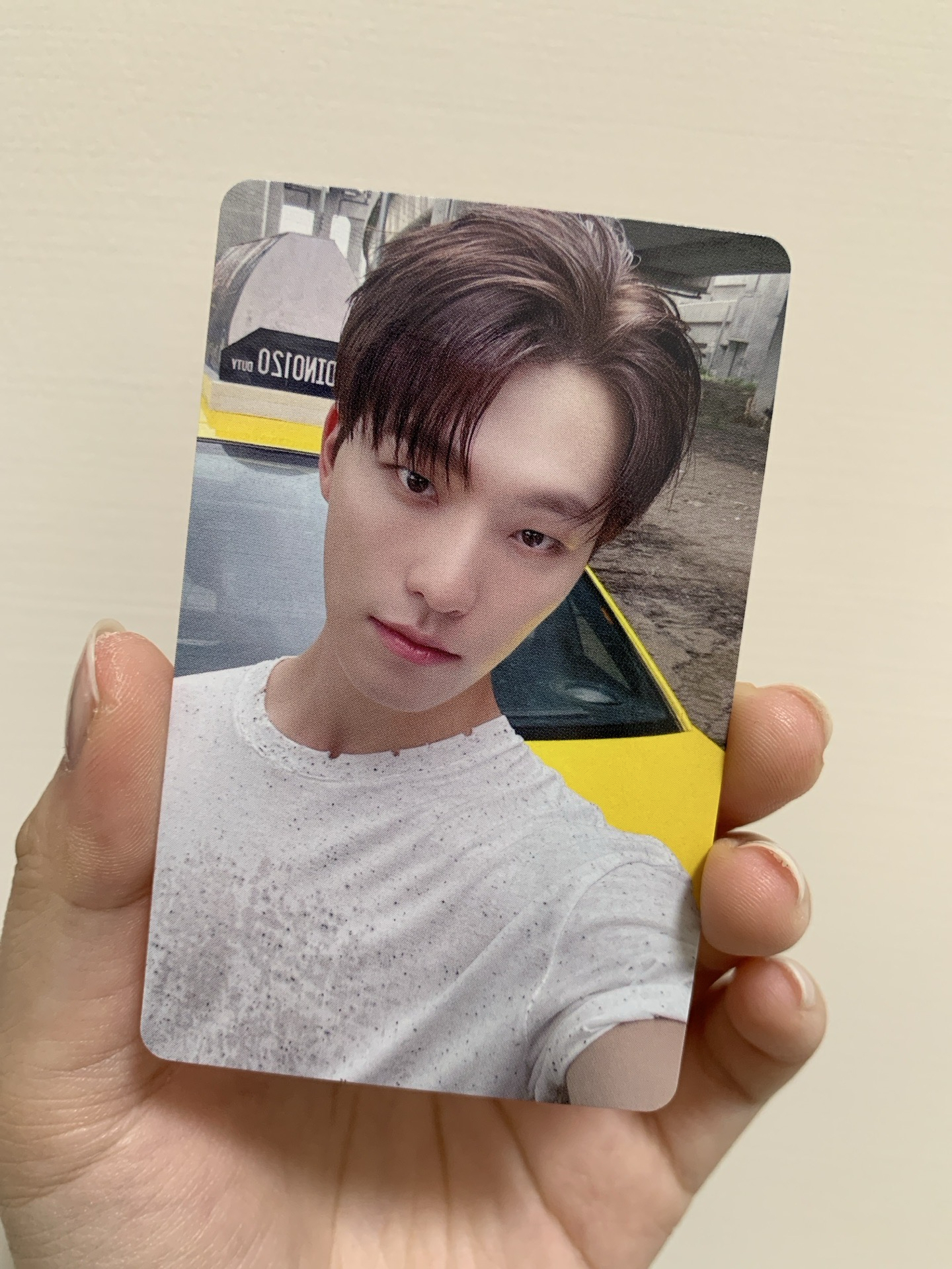 MINI12 wvs 愛知 場限卡 燦