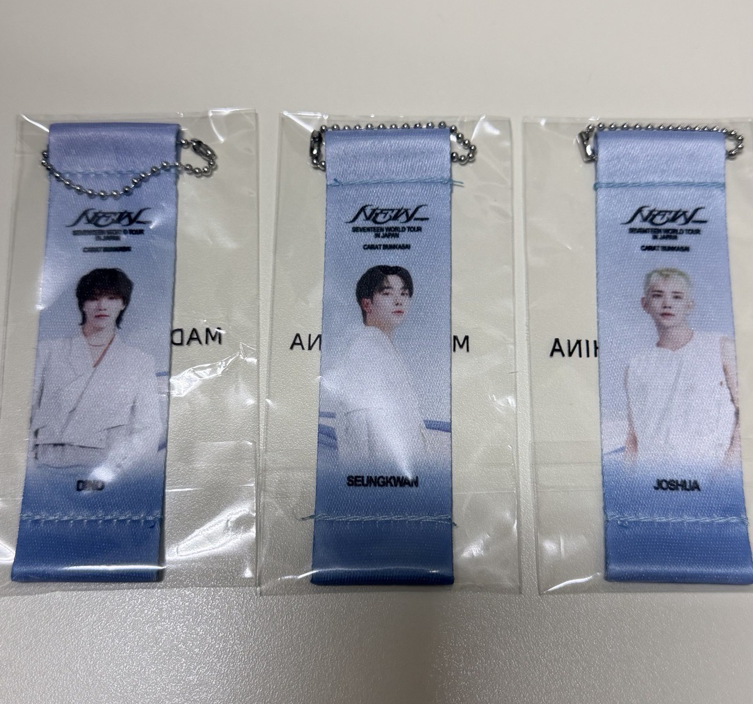 2025 SEVENTEEN Japan Carat BUNKASAI 扭蛋旗幟