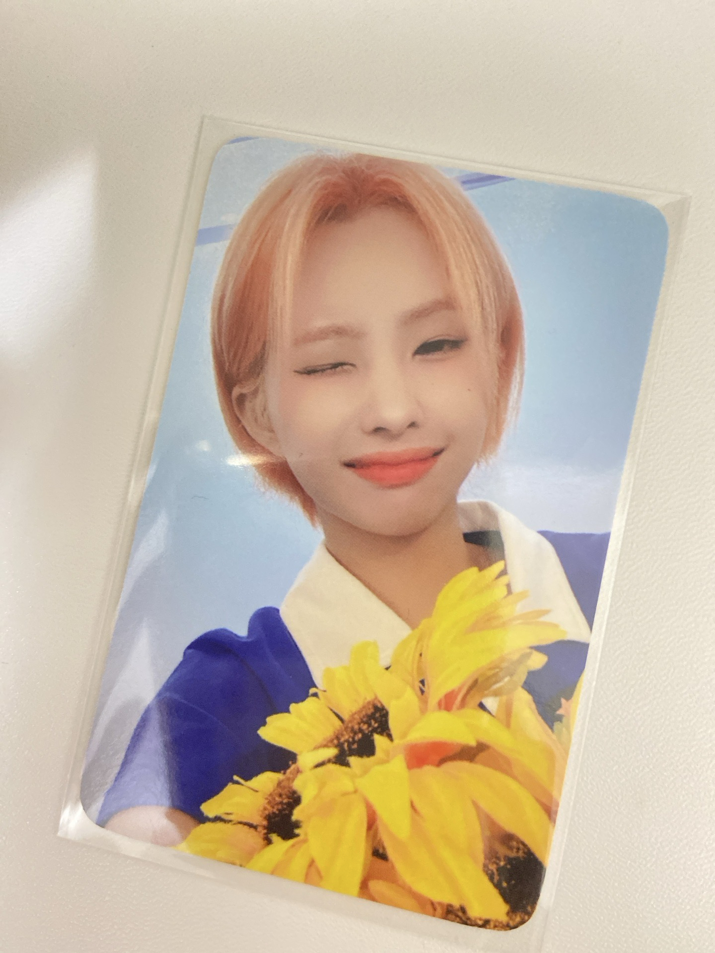 i sway wm2.0捧花娟