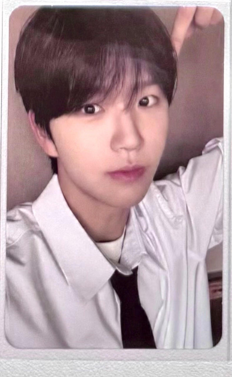 Steady Jaehee  專卡