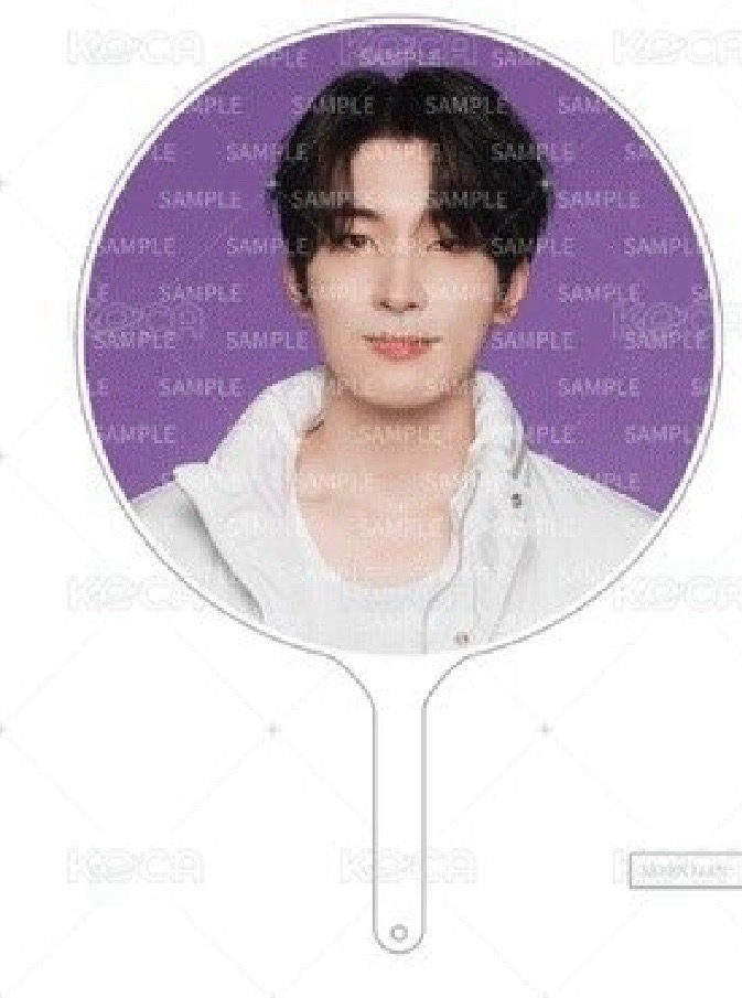 圓大扇+蹦蹦手燈替換頭+淨漢電子專