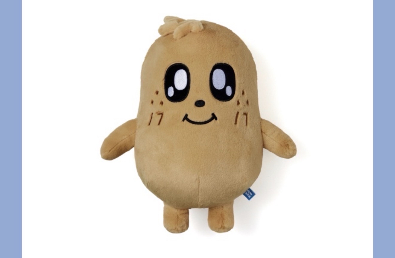 Miniteen 奎站娃 （全新未使用