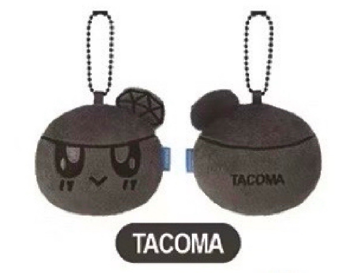 💙美巡TACOMA黑蹦蹦（送NEW日巡彩帶一段