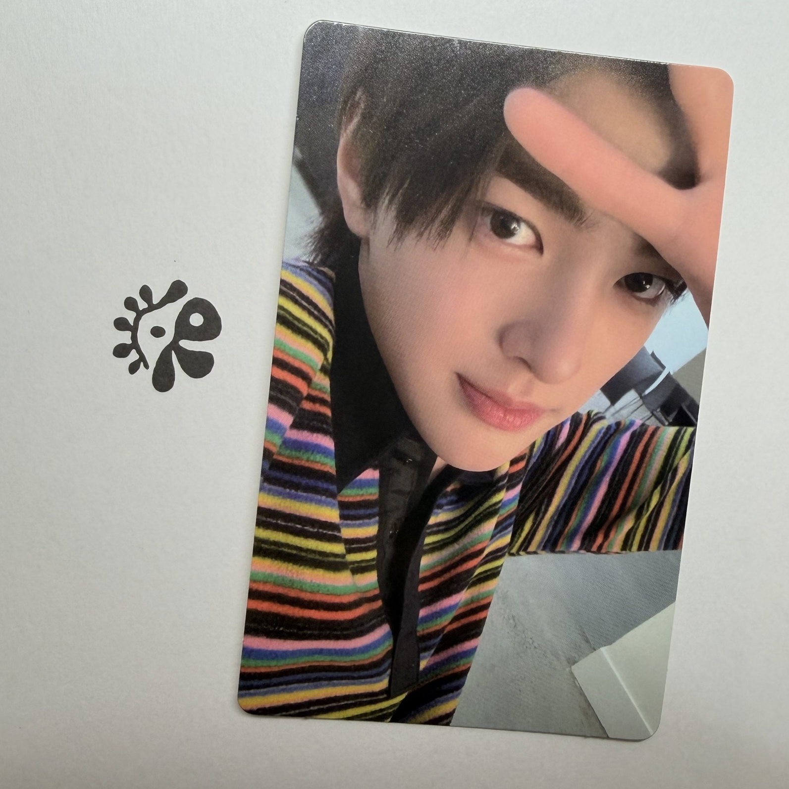 Cortis 安乾鎬wvs特典