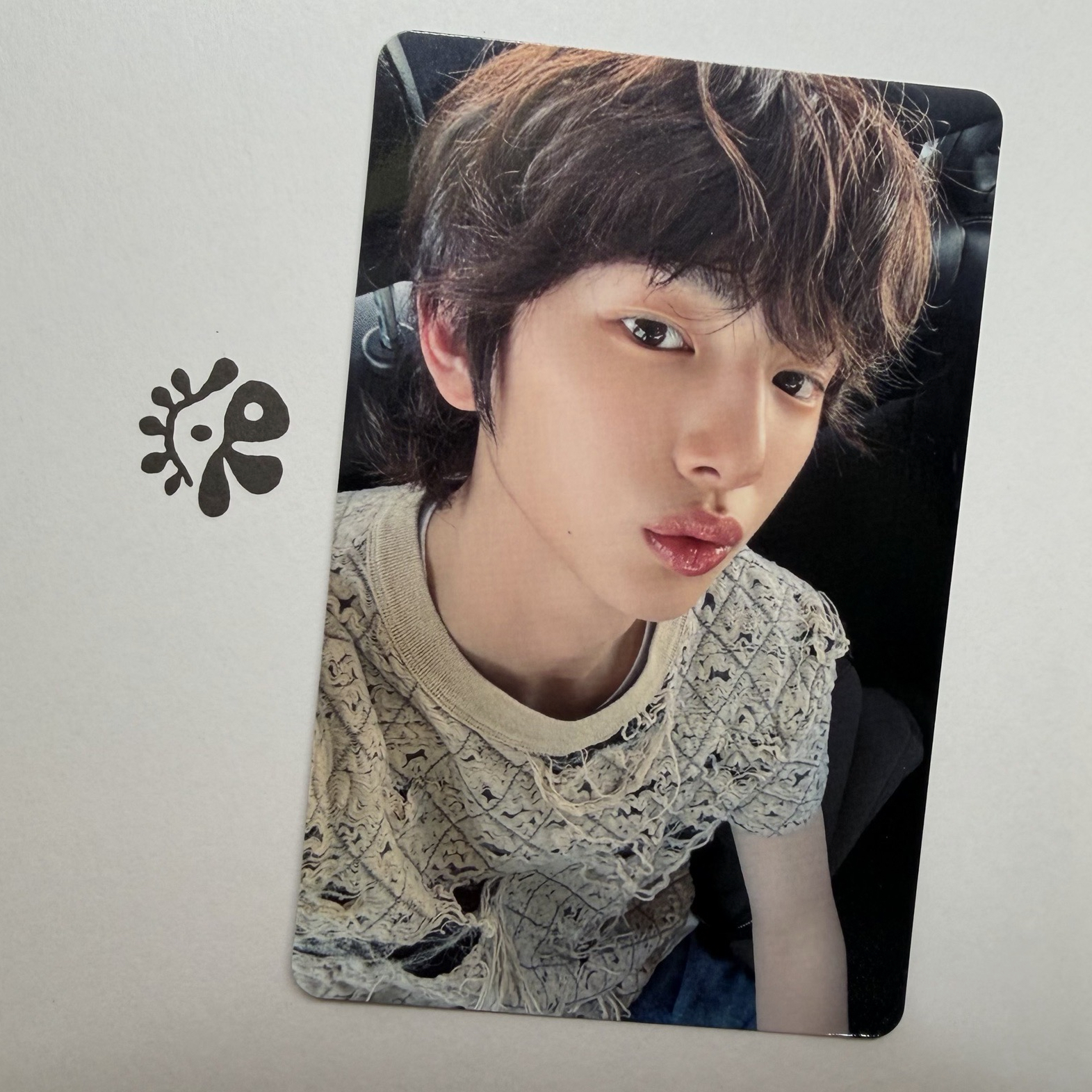 Cortis 金主訓環球