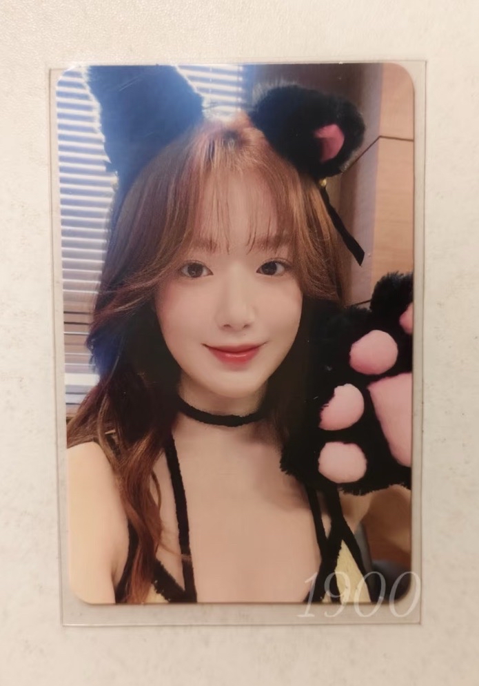 ms16貓抓刷 野餐刷