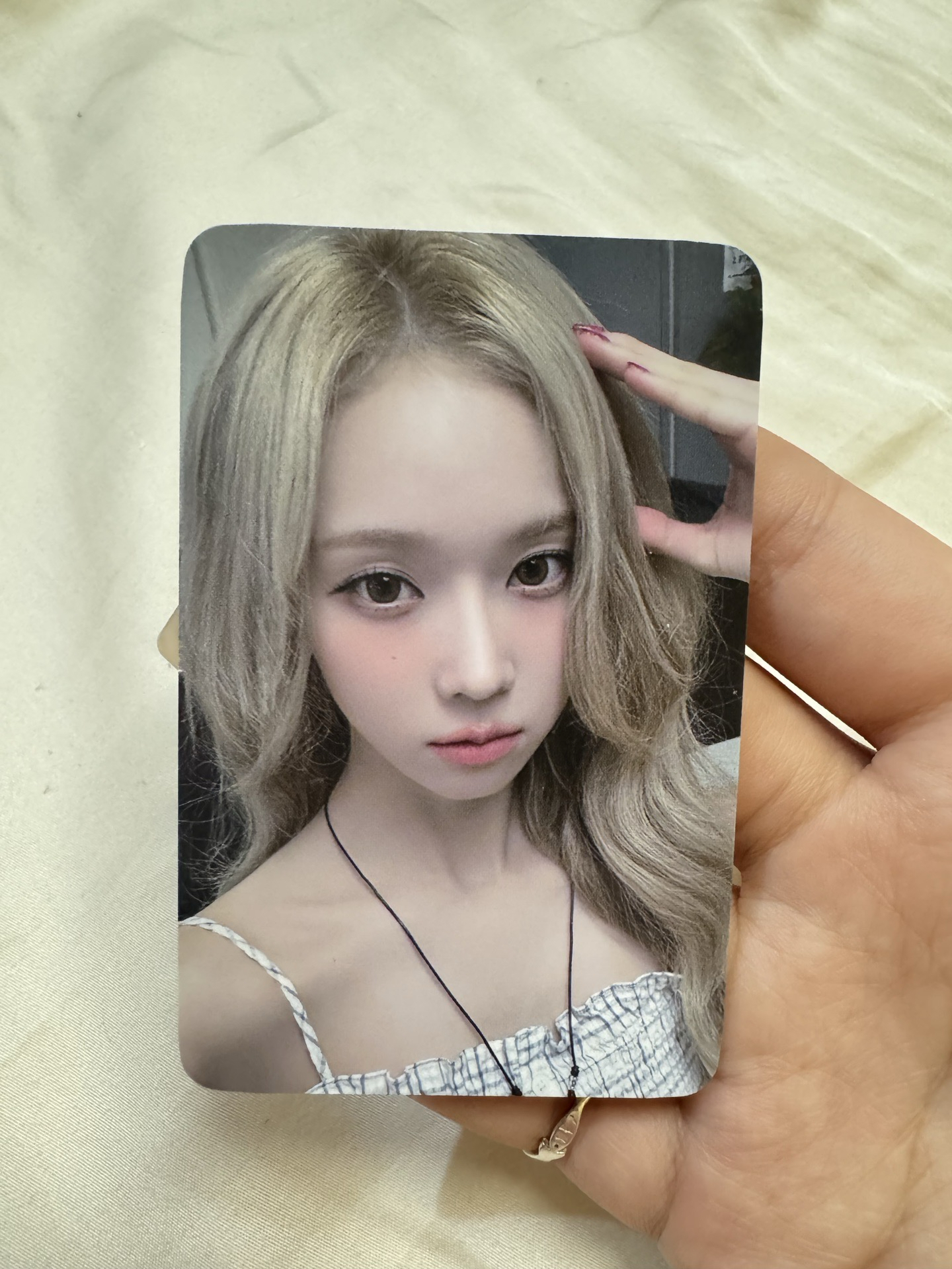 el 幸運卡 狗耳冬