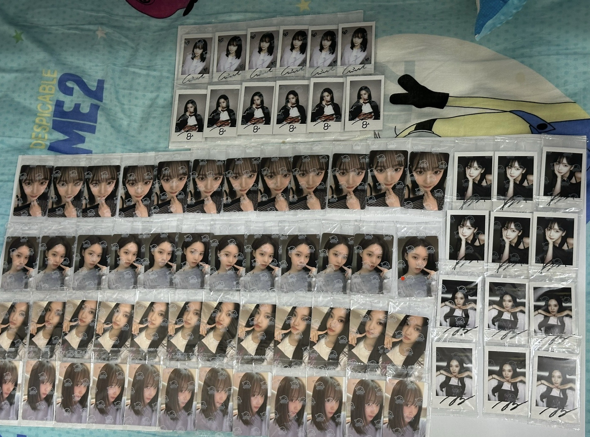 星河簽售 都是中文卡背！