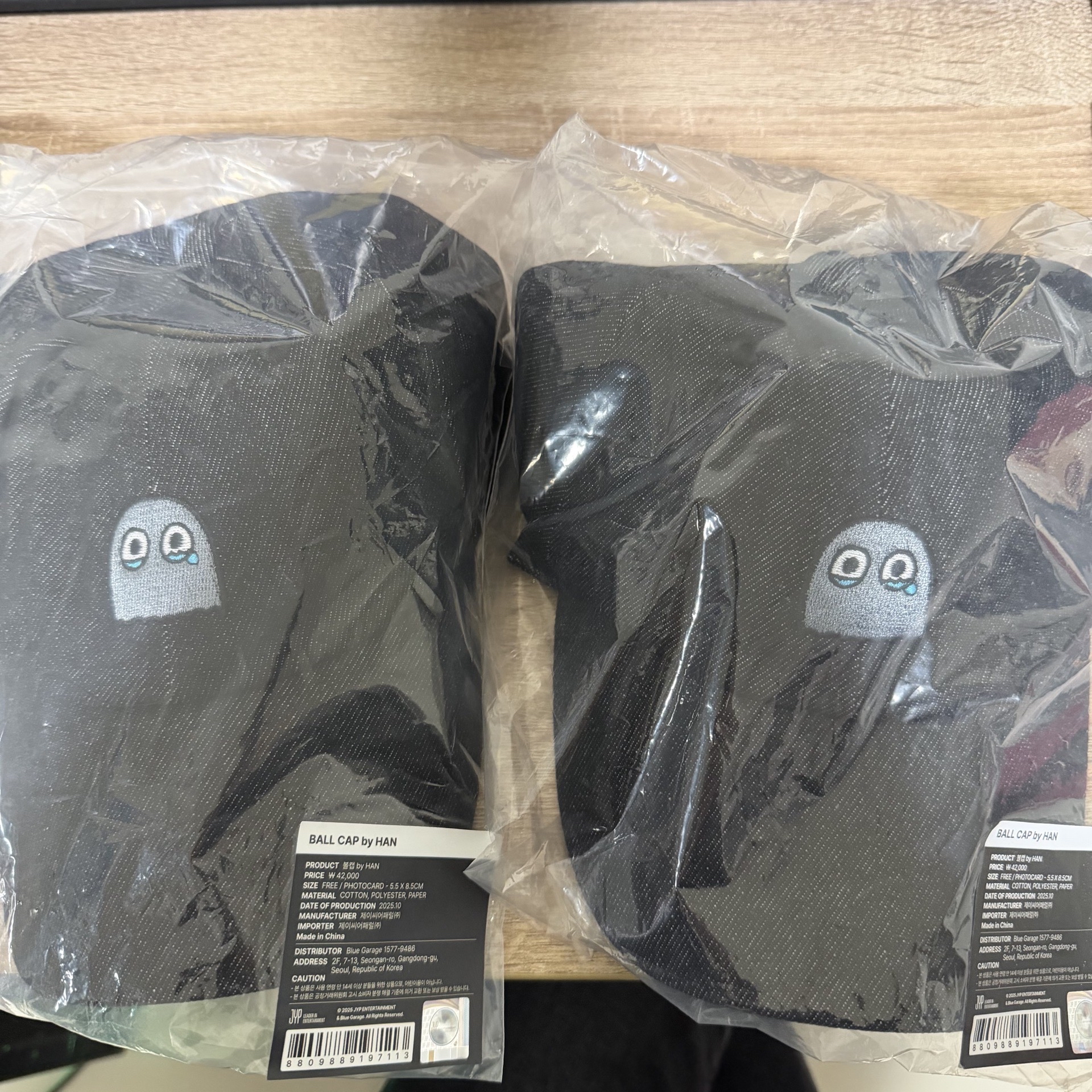 Stray kids dominate:celebrate 周邊 成員設計 城 帽子 HAN