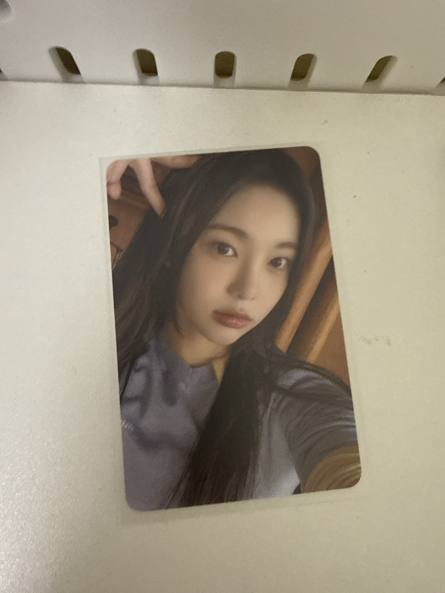 sr特典卡（中文卡背）