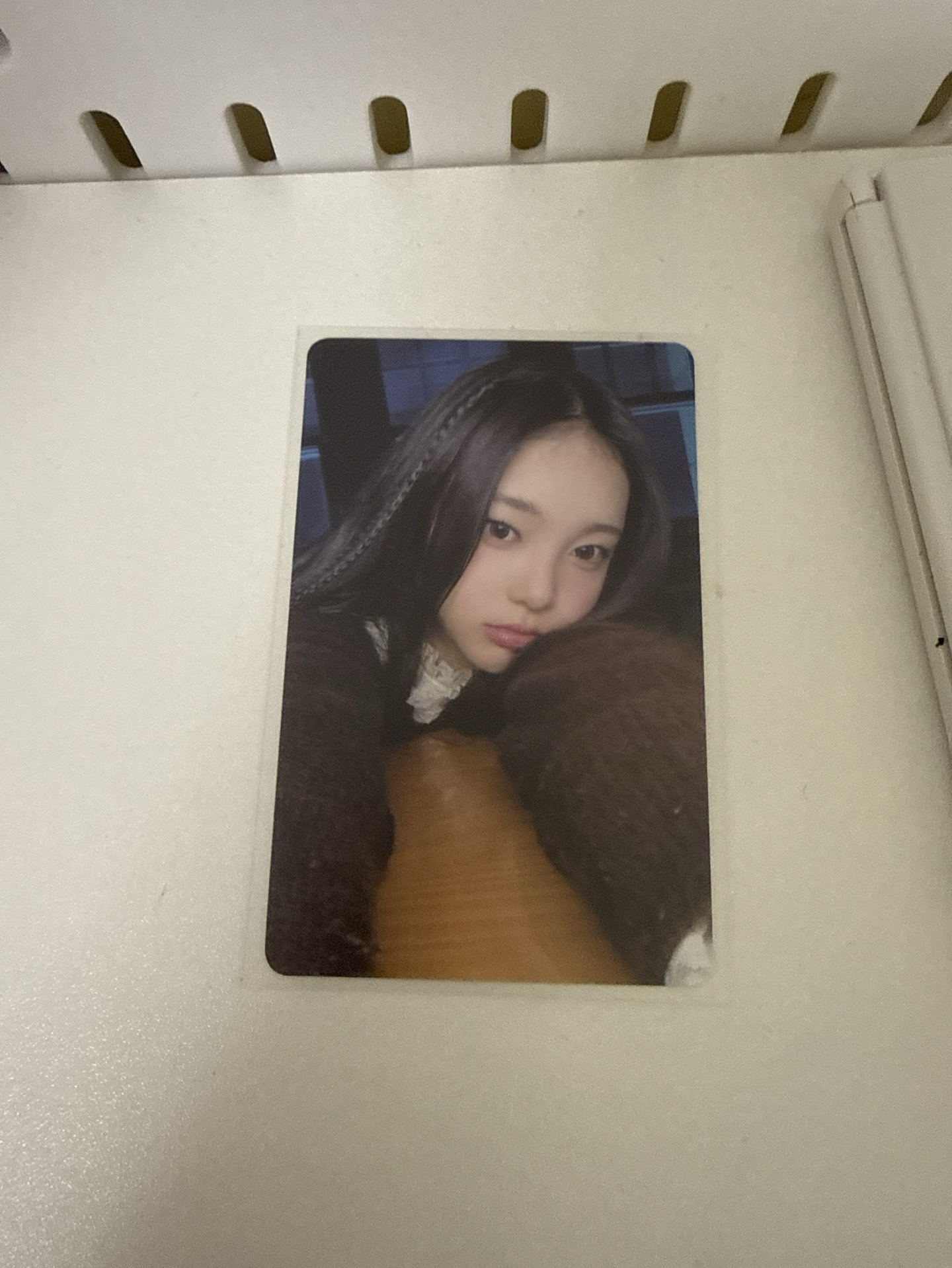 kms特典卡（中文卡背）