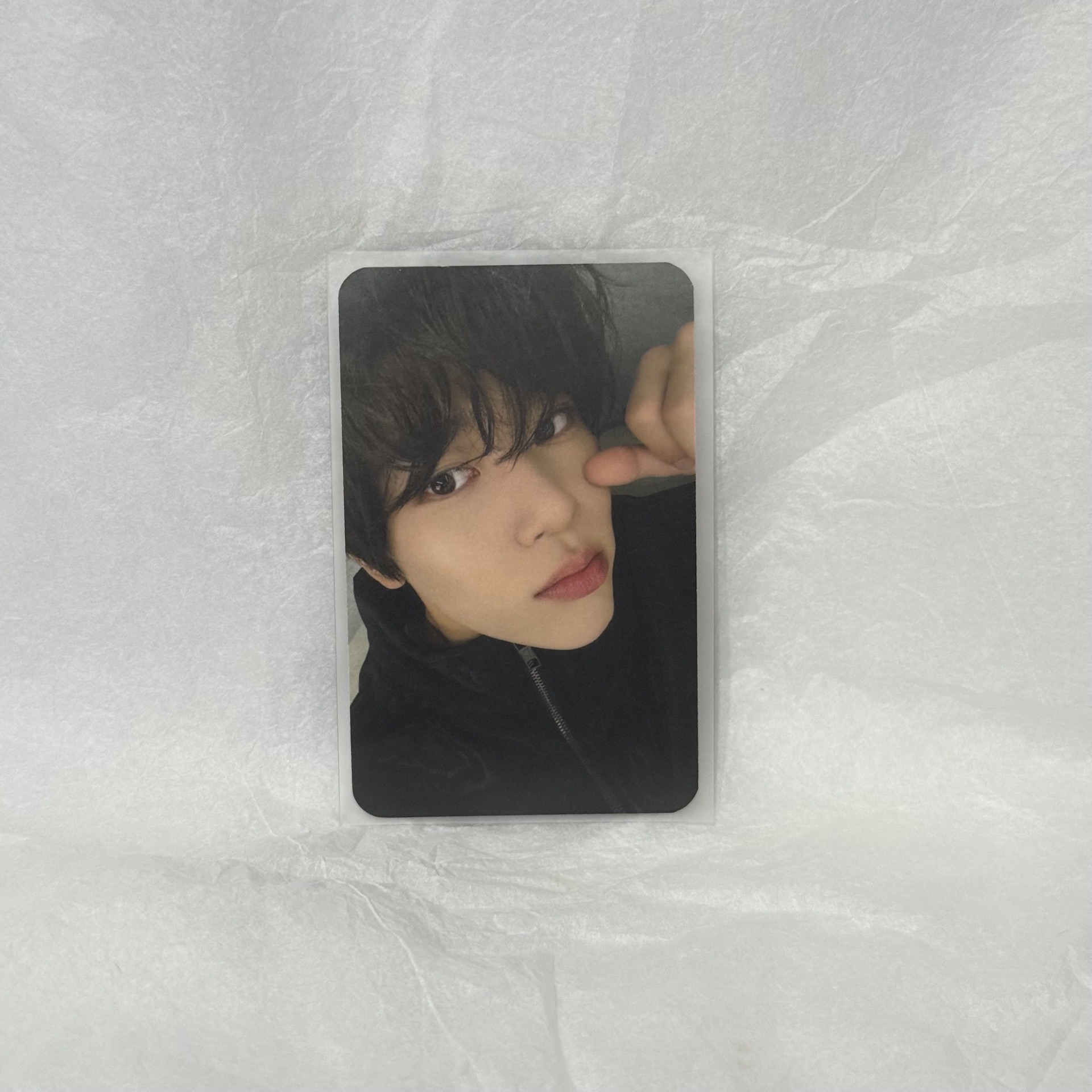 nctwish sion steady台灣簽售特典卡