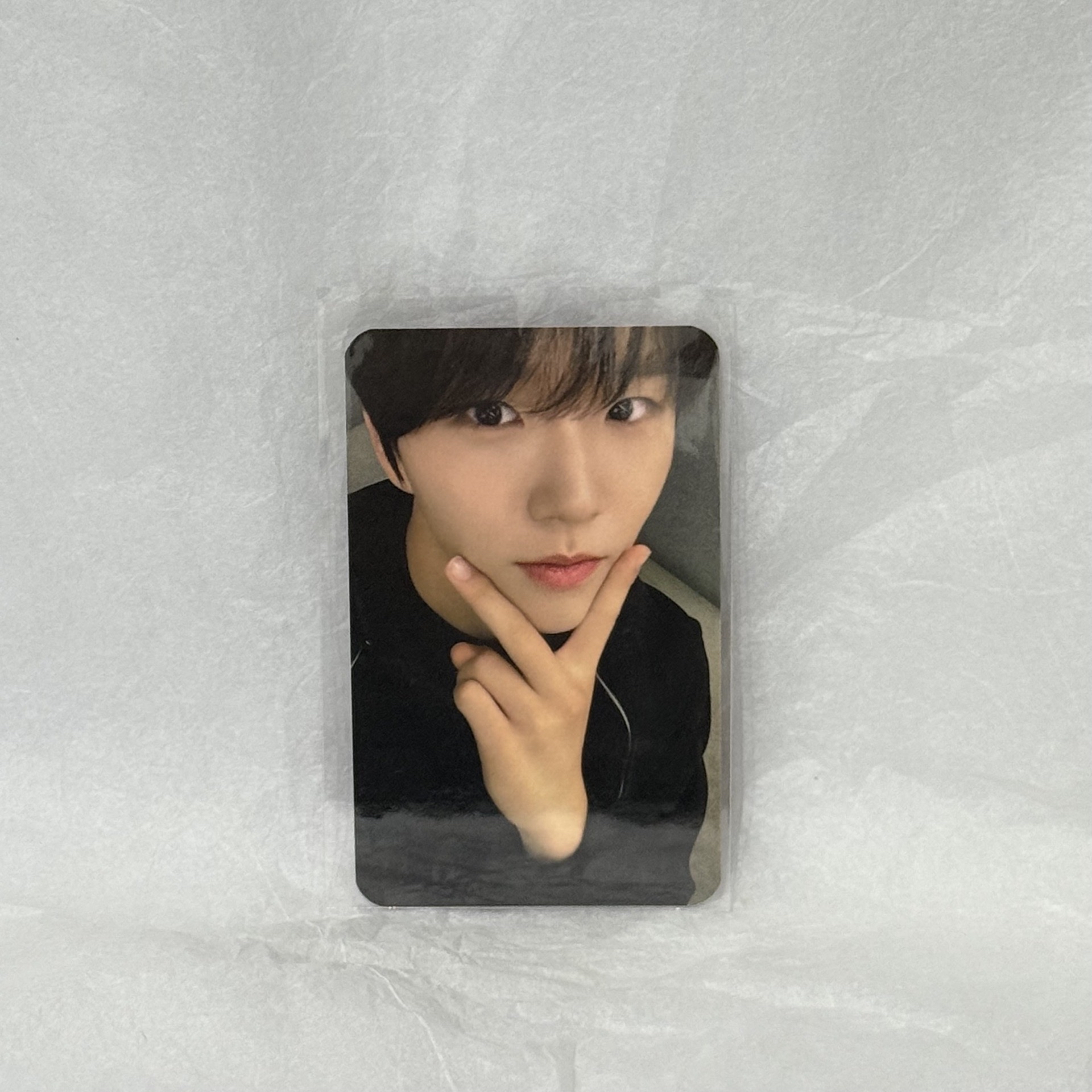 nctwish jaehee steady台灣簽售