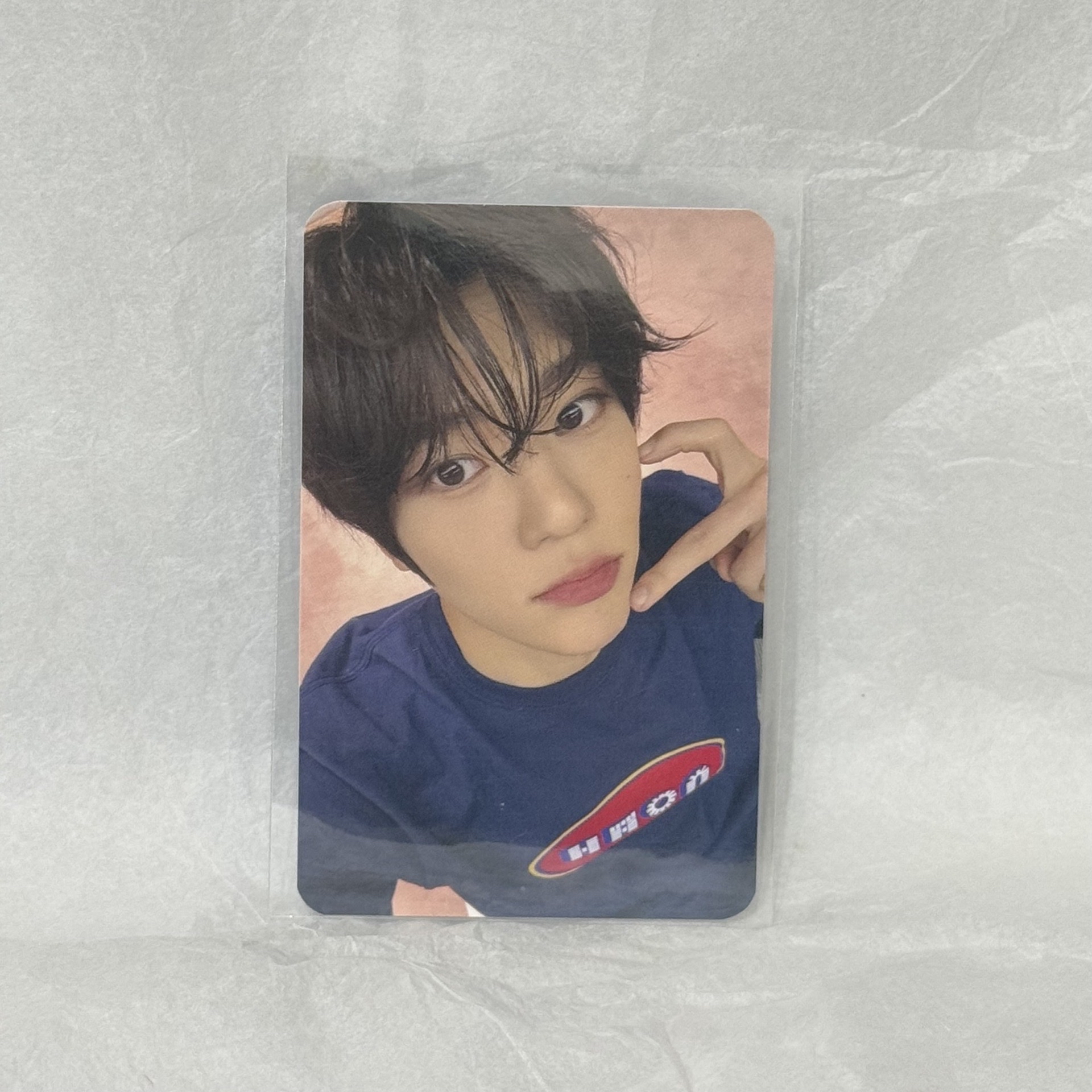 nctwish sion steady itta影通特典卡