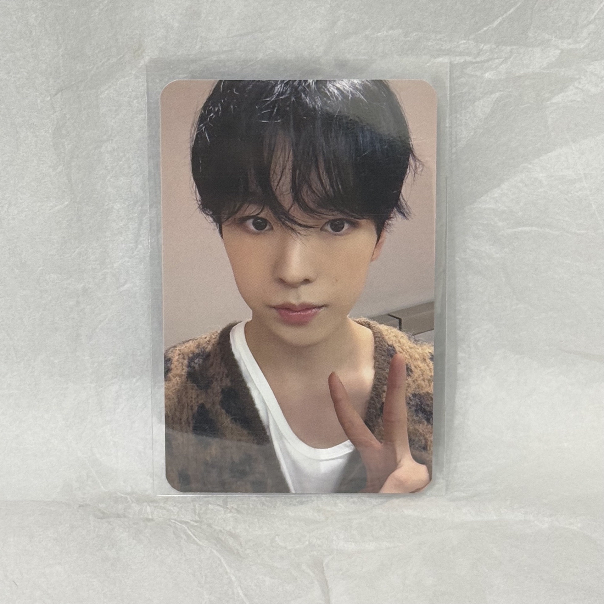 nctwish yushi steady itta影通特典卡