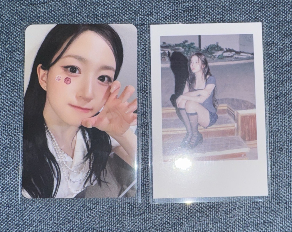 MS 3.0 線下 貓貼片 拍立得 嫄