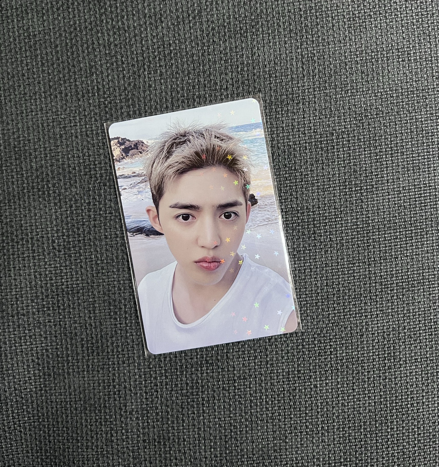 CxM wvs jp c盤特典 哲