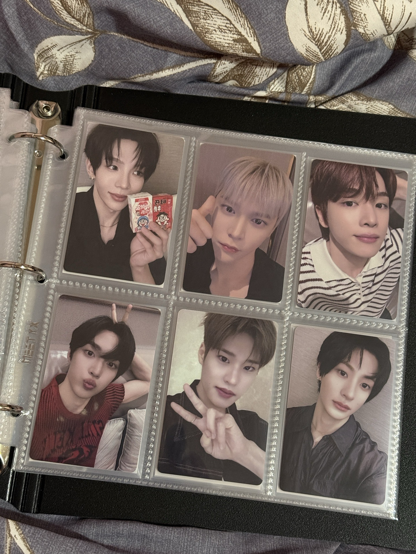 將 燦 熙 安 kms 簽售卡