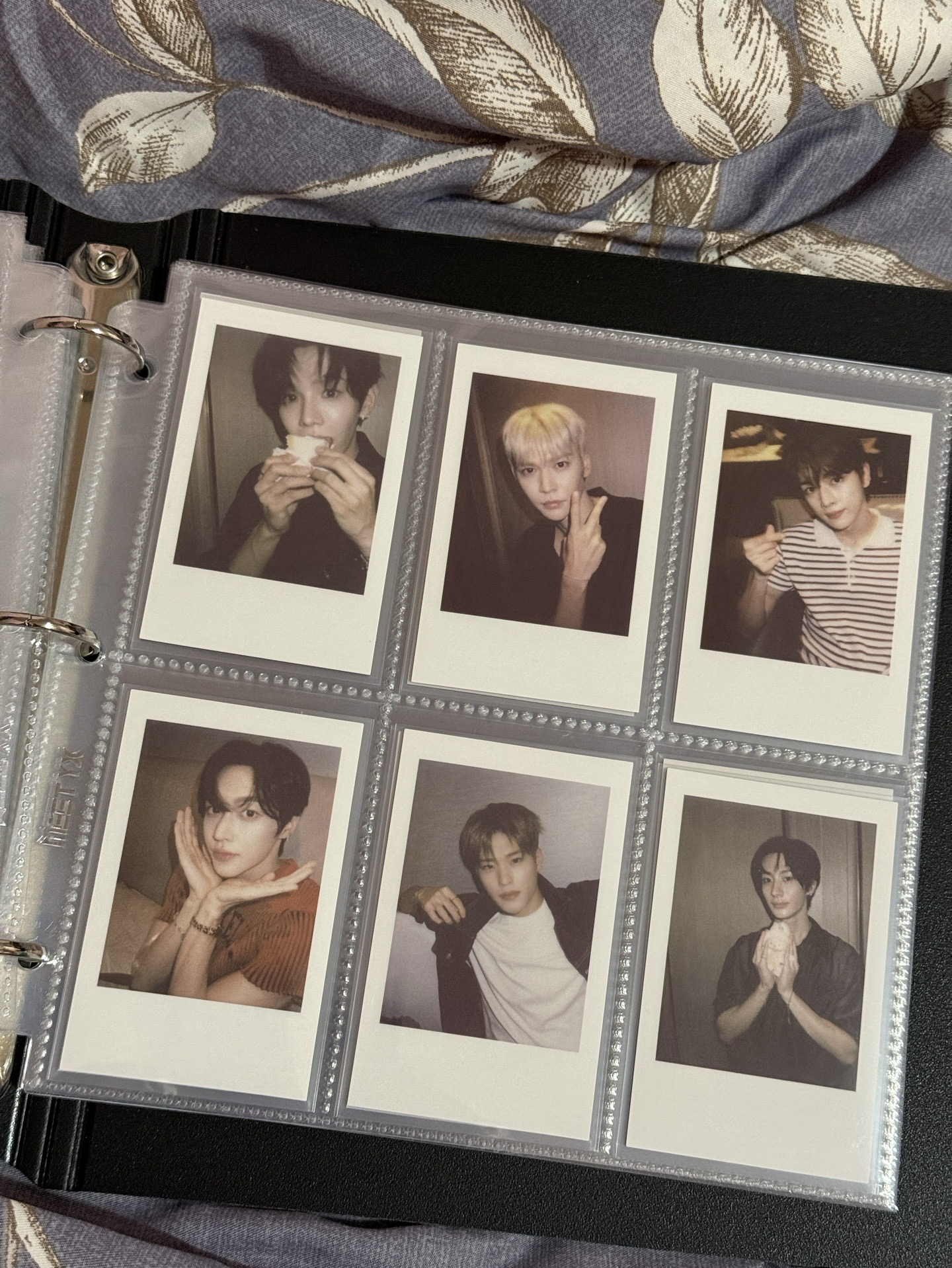 將 燦 熙 安 kms 簽售卡