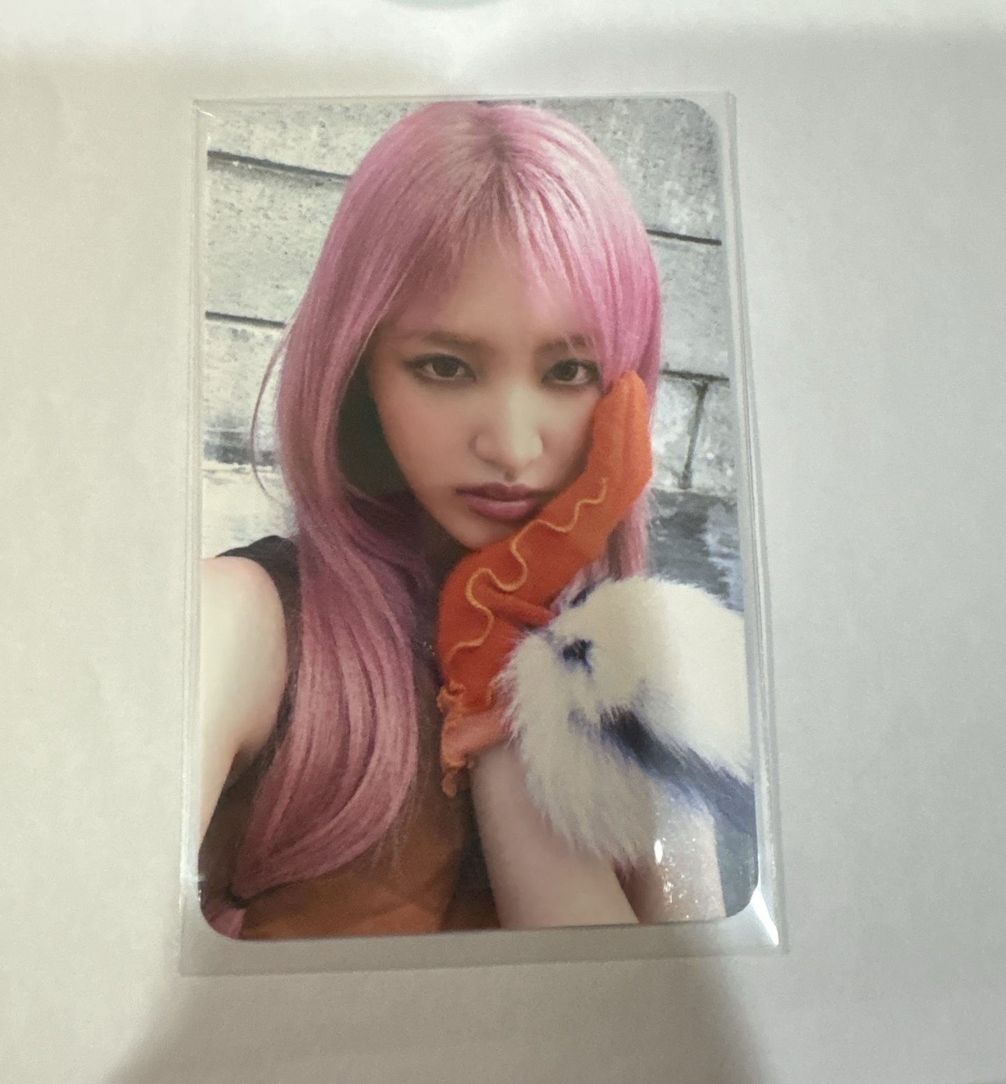 手上戴🌭的栗子