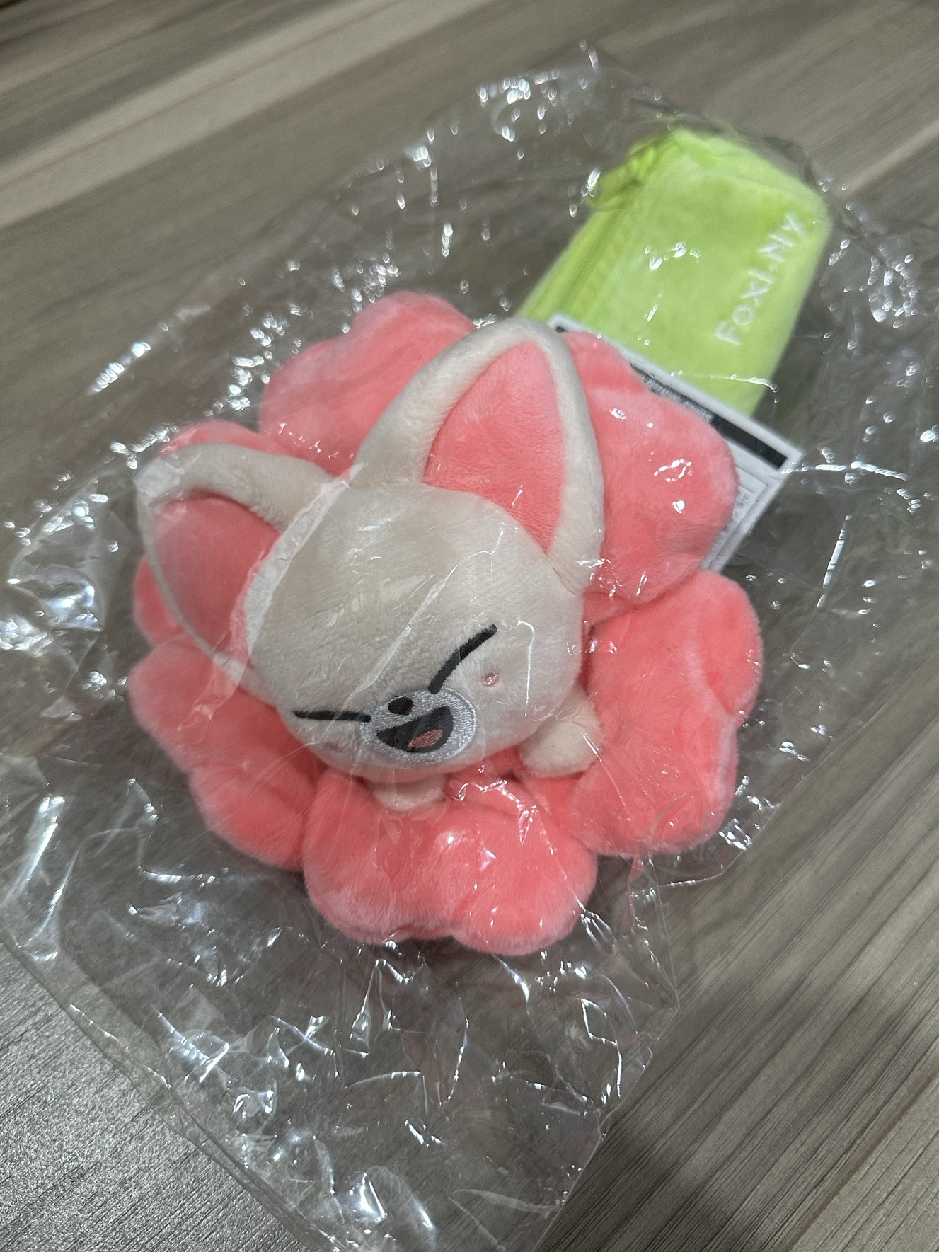 2025 SKZOO快閃店 筆盒、筆袋 