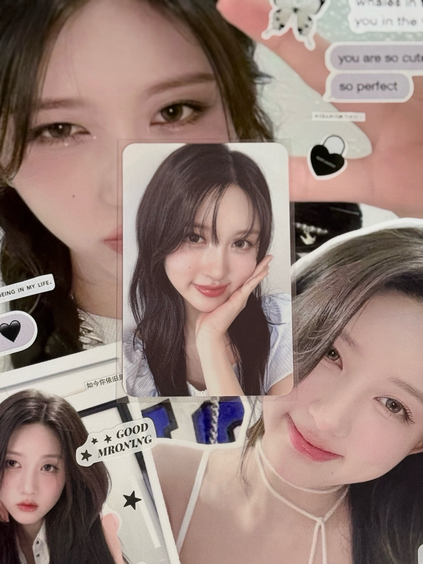 ive 秋/怜/員 平價小卡/中背