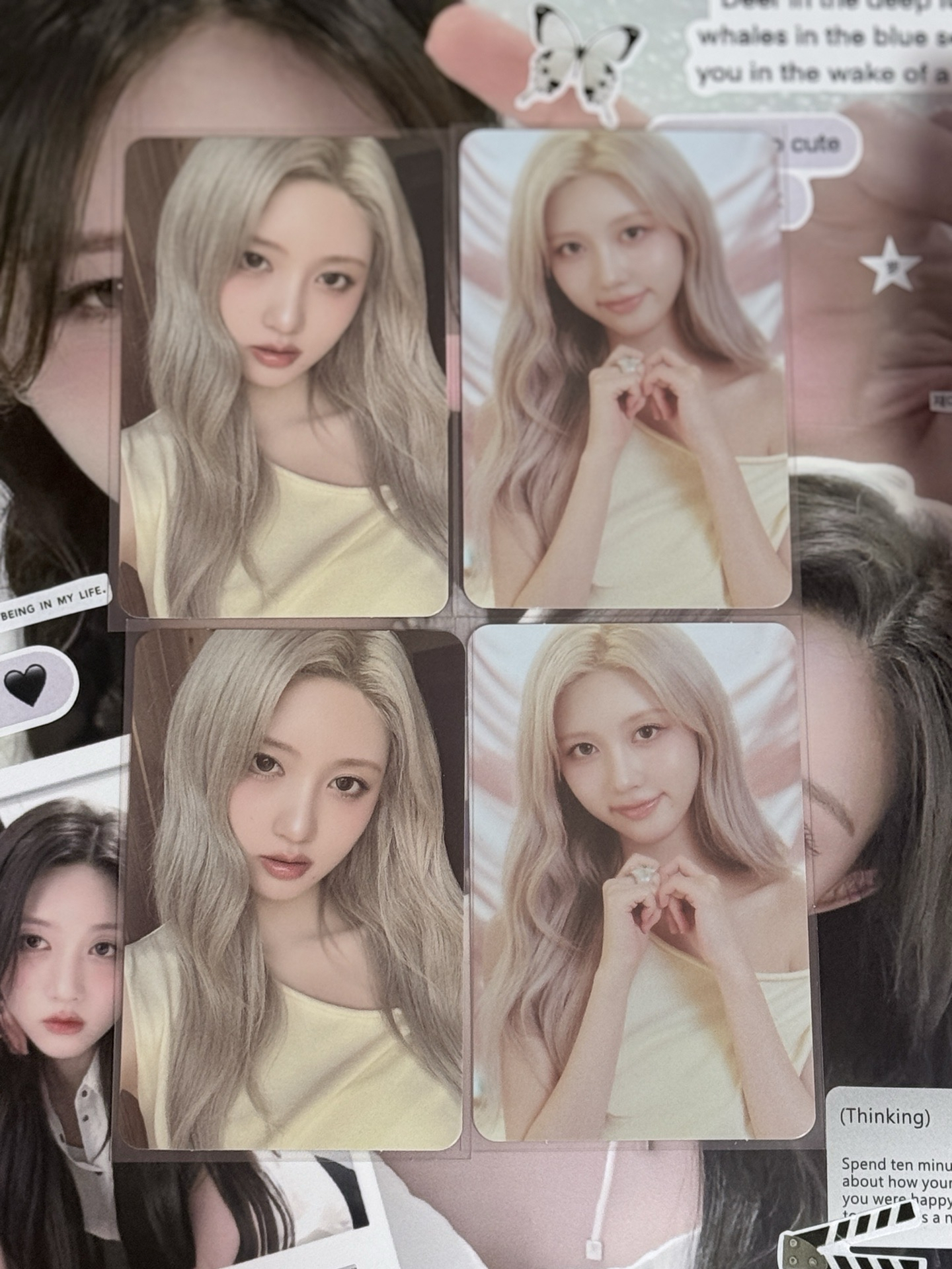 ive 秋/怜/員 平價小卡/中背