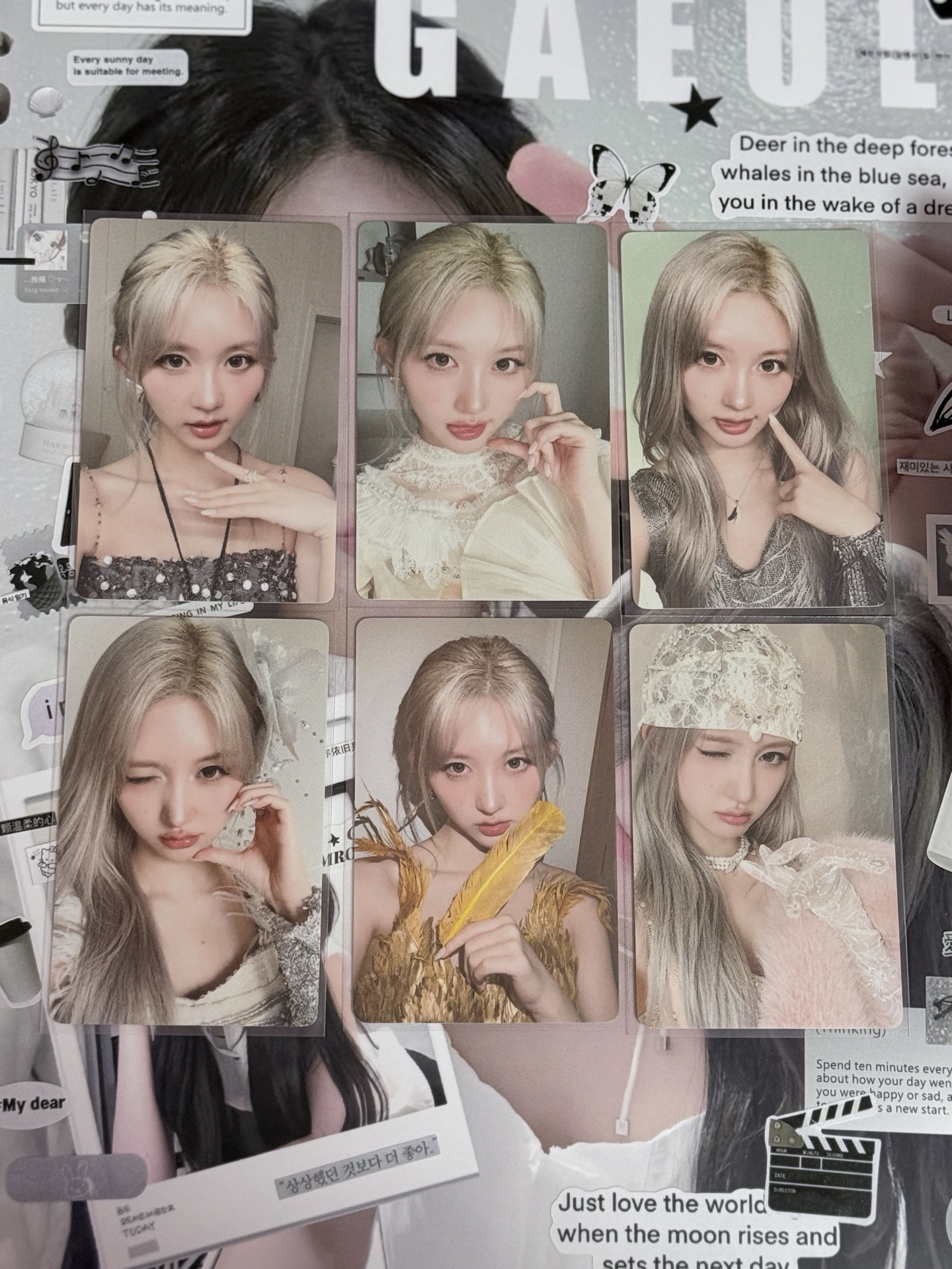 ive 秋/怜/員 平價小卡/中背