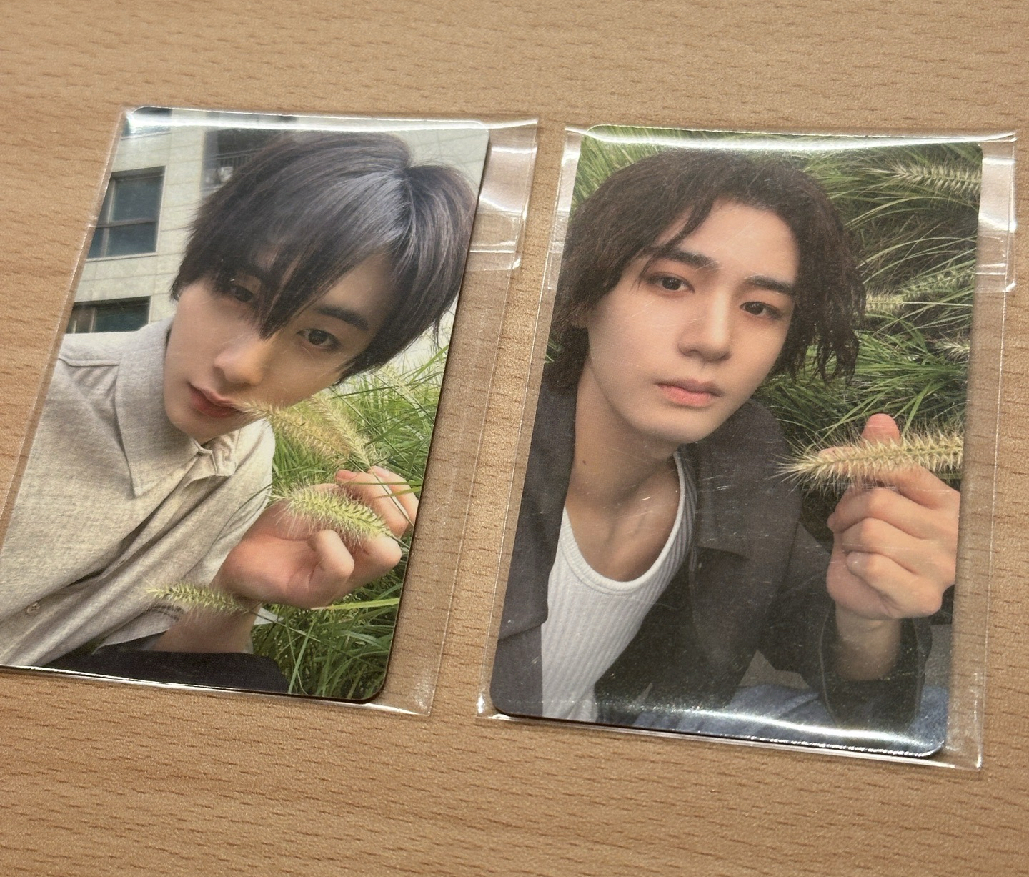 BOYNEXTDOOR 摸草貓 摸草魚