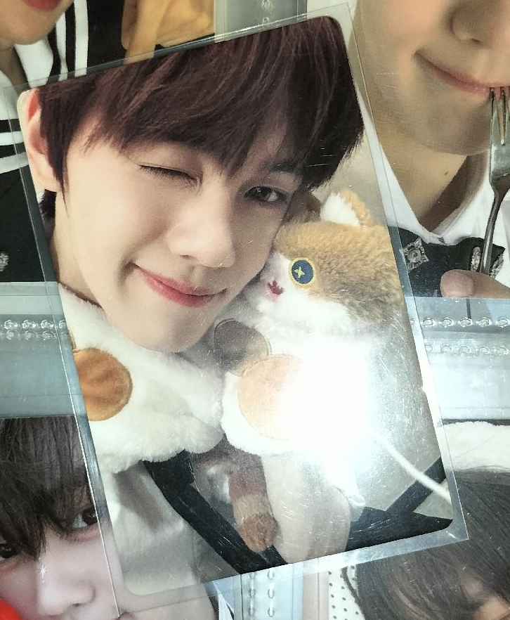 狎鷗亭王子❗❗❗