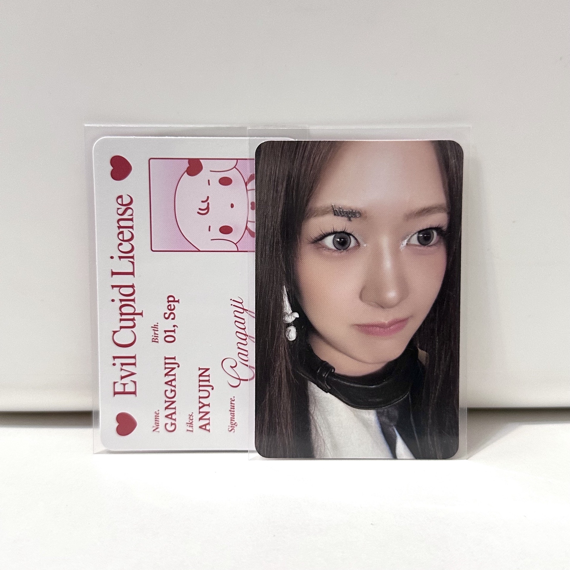 SECRET Minive娃專 ID卡+專卡安🐶