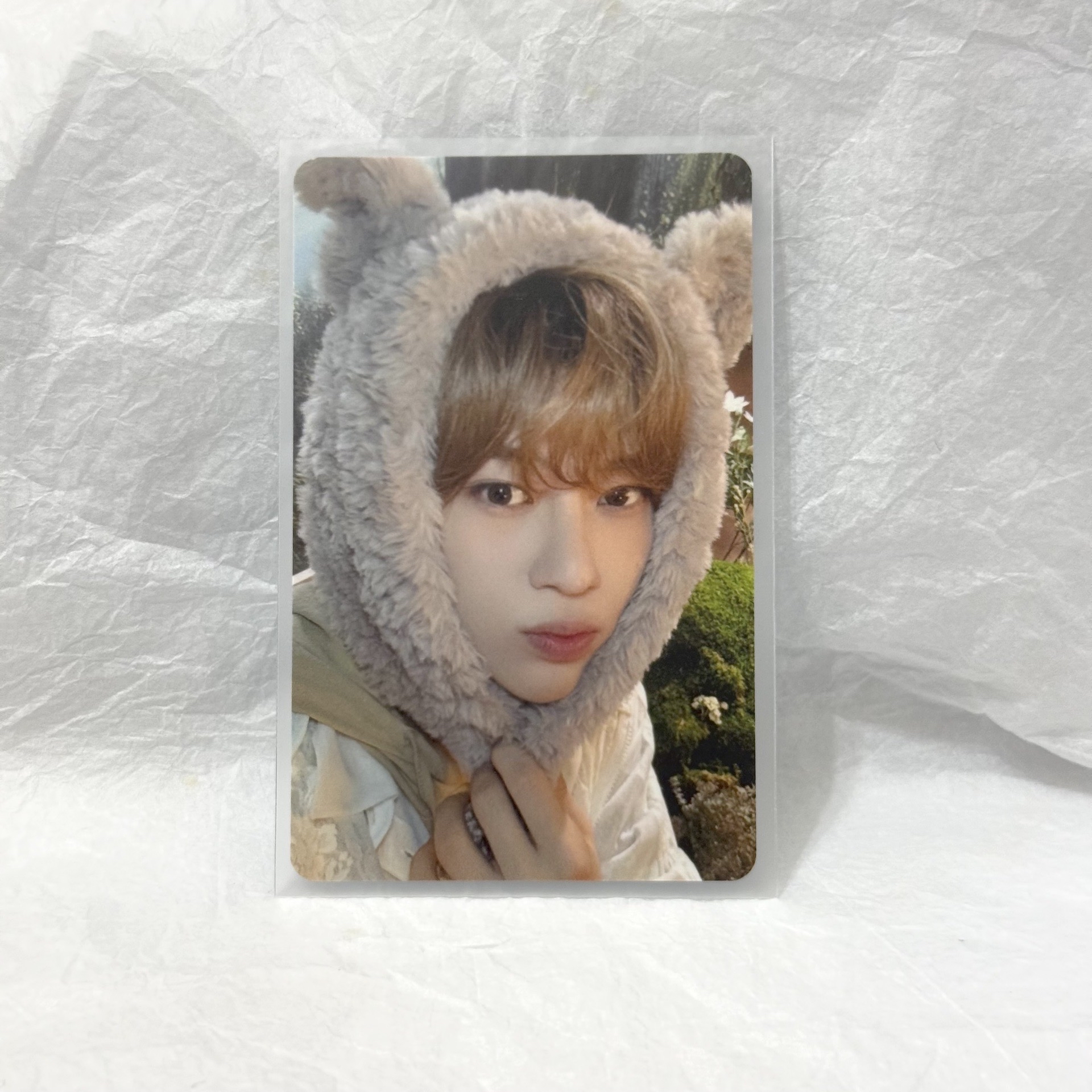 nctwish sion日會小卡