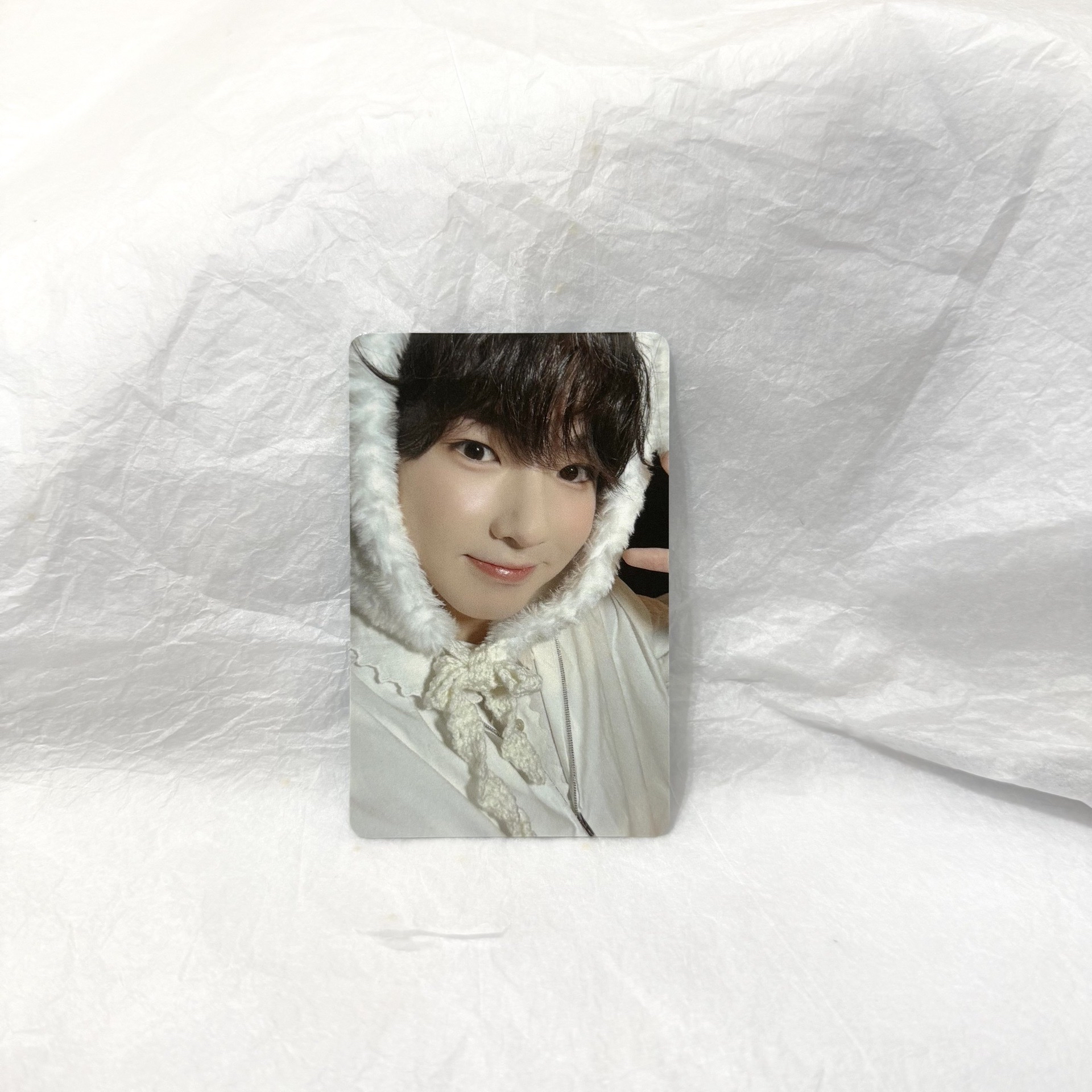 nctwish sakuya日會小卡