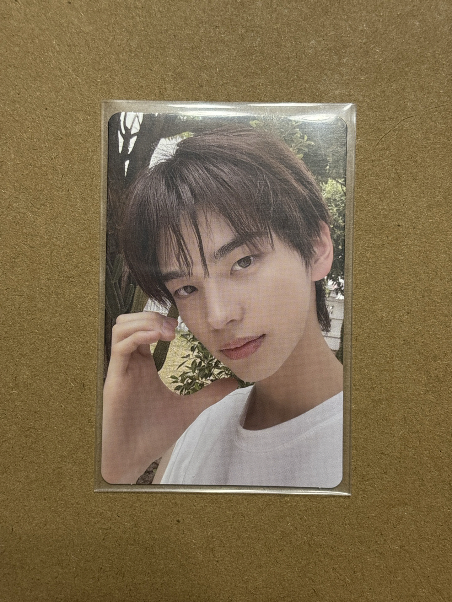 ❤️SHINYU 迷2專卡A（多帶💙*1）