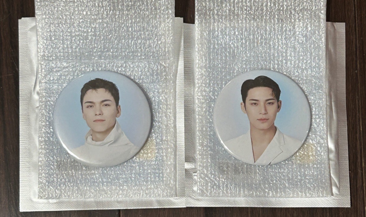 SEVENTEEN NEW_ 新巡徽章 奎率