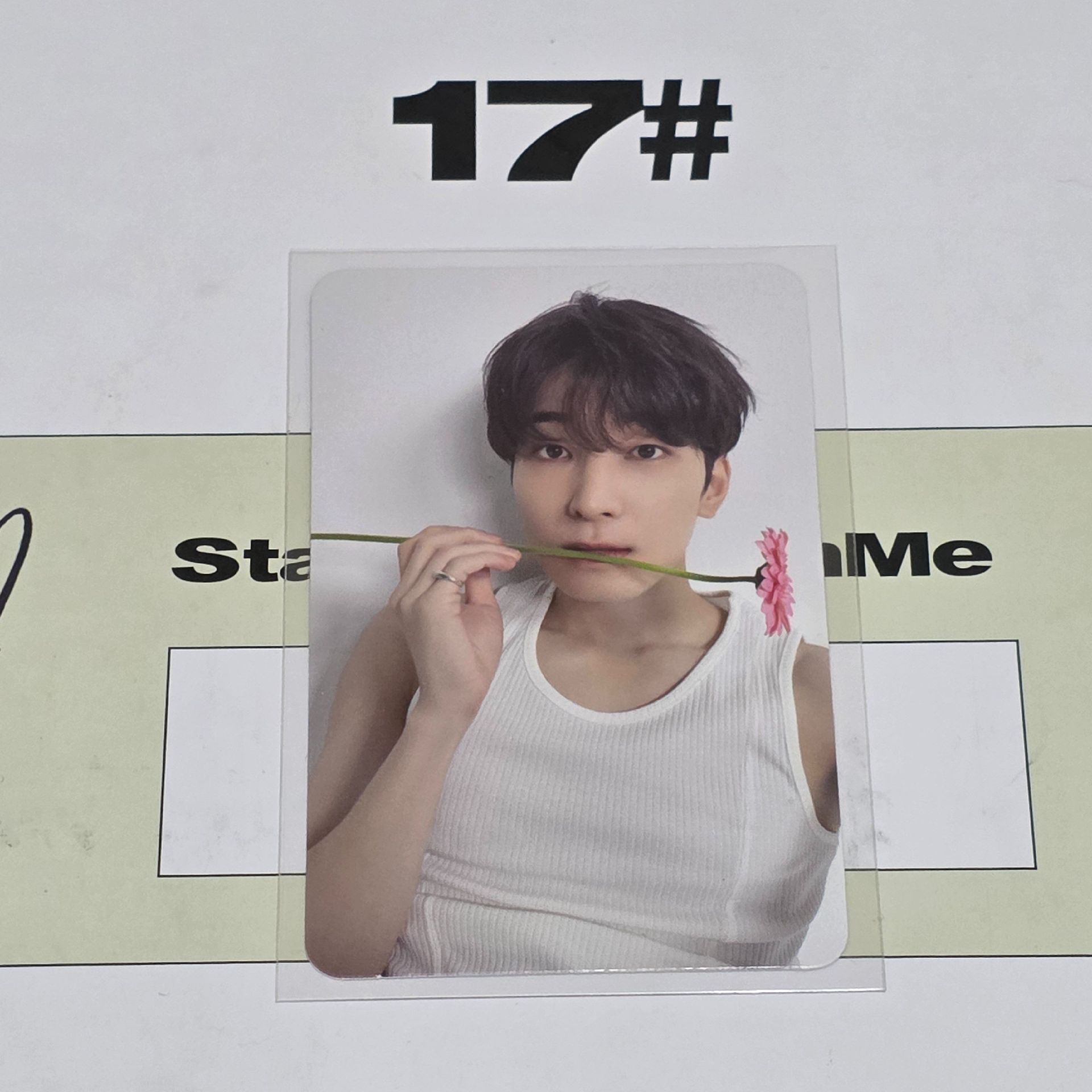 你是我最親愛的 親愛盤圓