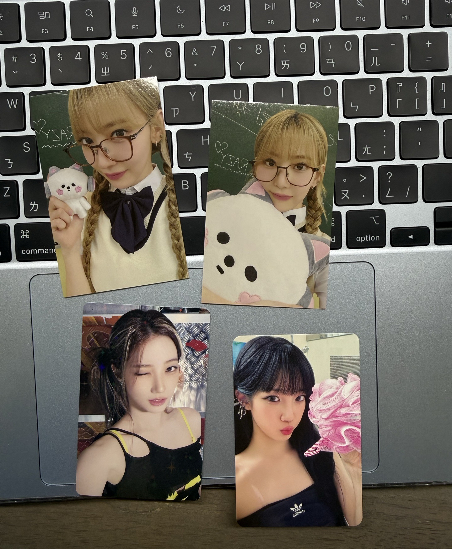 櫻滿額卡加葉卡