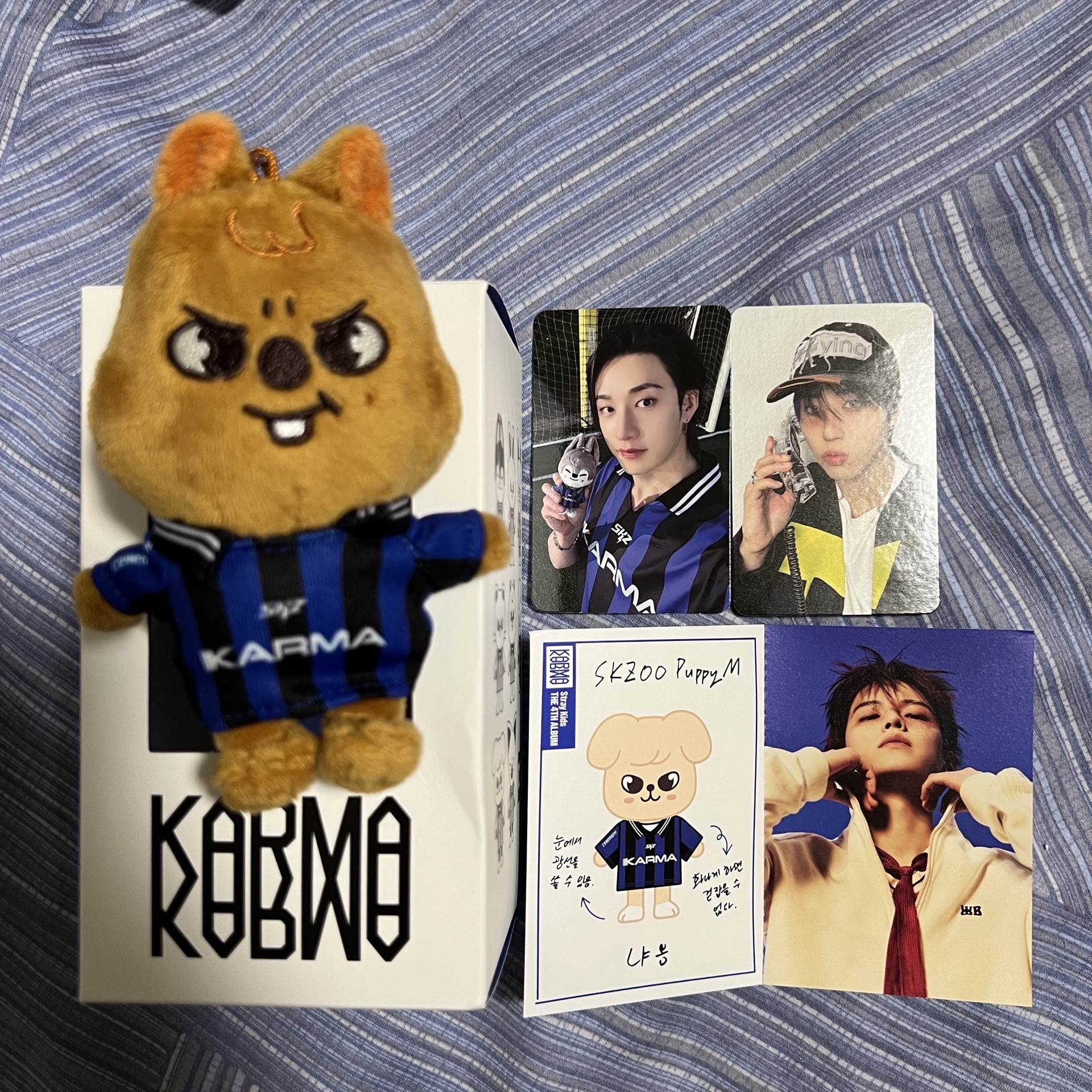Stray kids Karma 電子專 娃專 已拆全專
